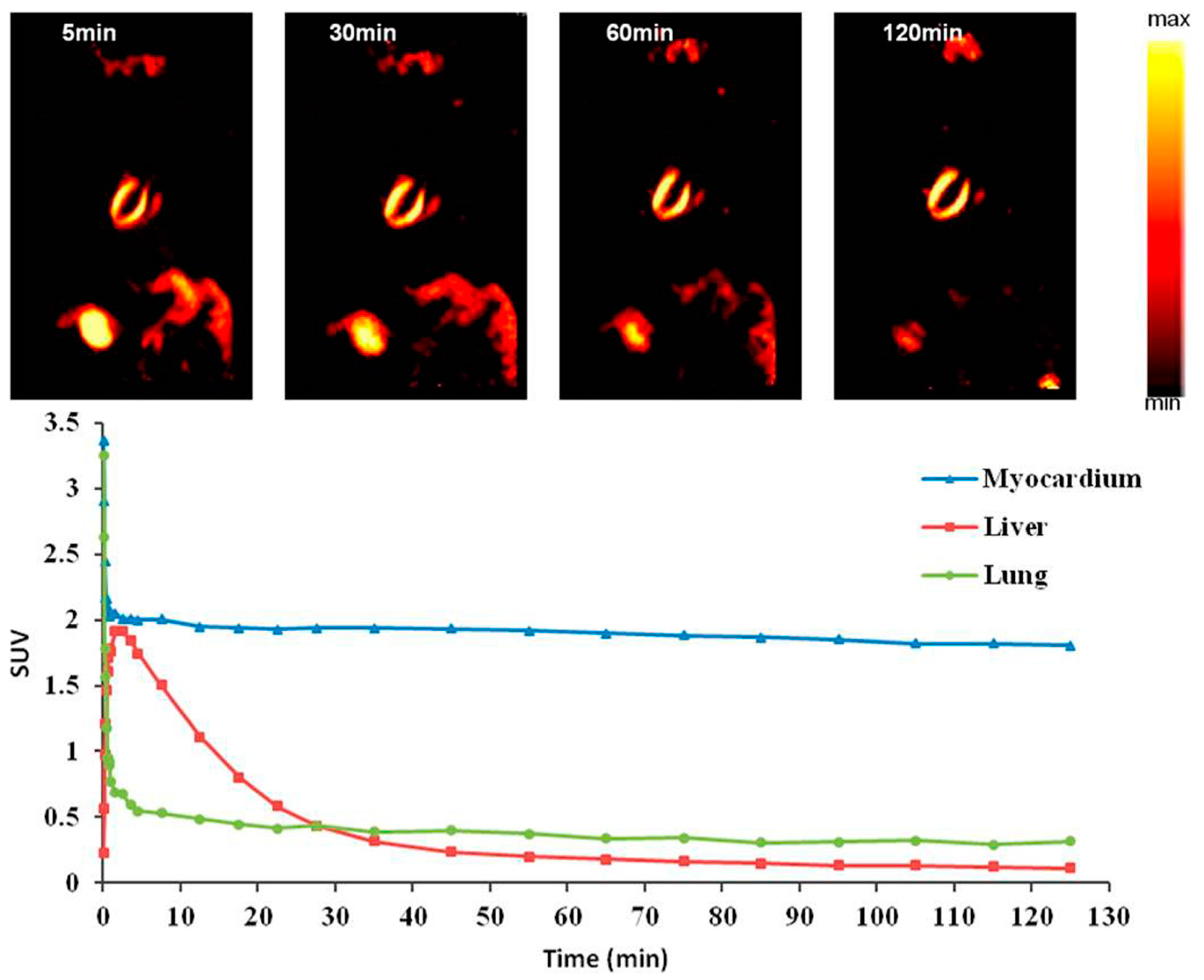 Molecules 22 00562 g005