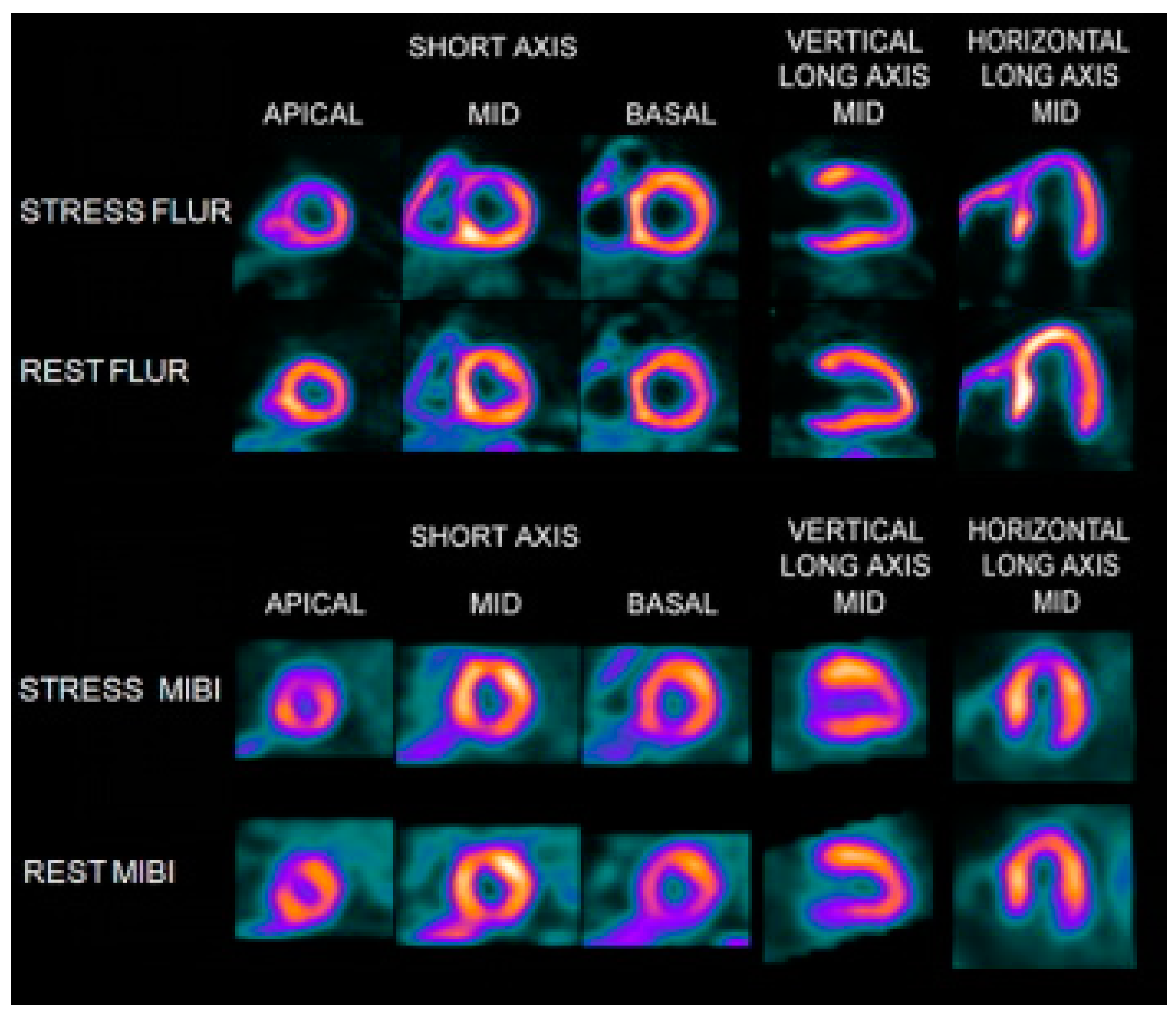 Molecules 22 00562 g007