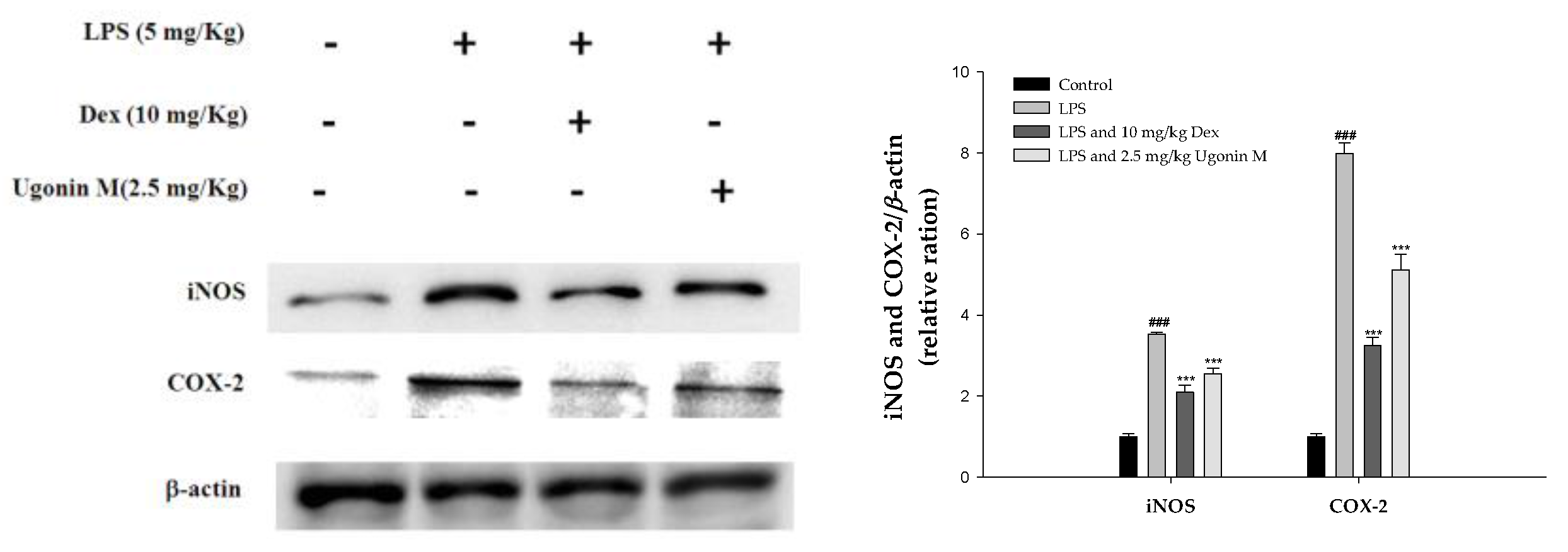 Molecules 22 00573 g008