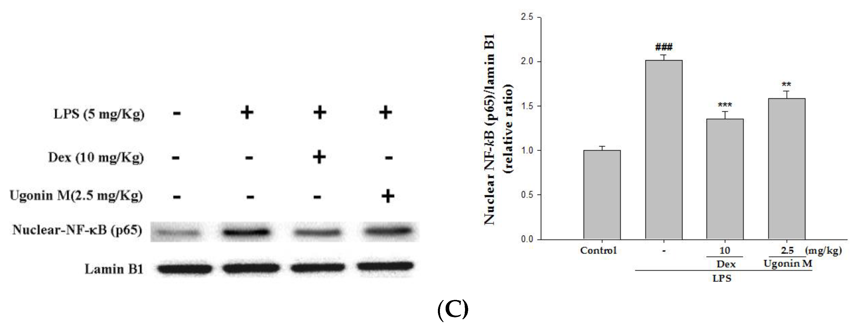 Molecules 22 00573 g009b