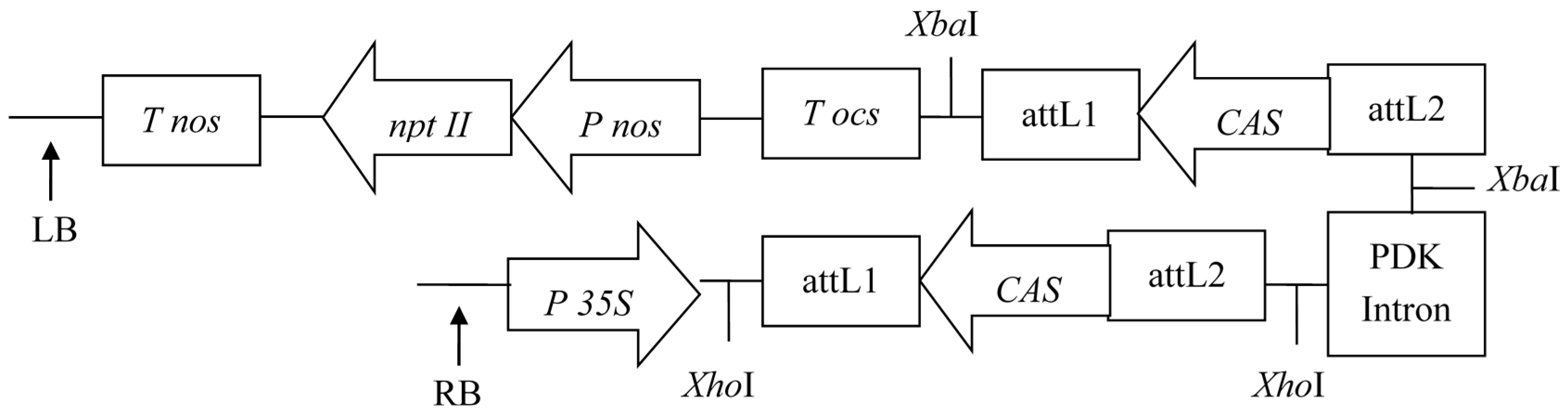 Molecules 22 00581 g002