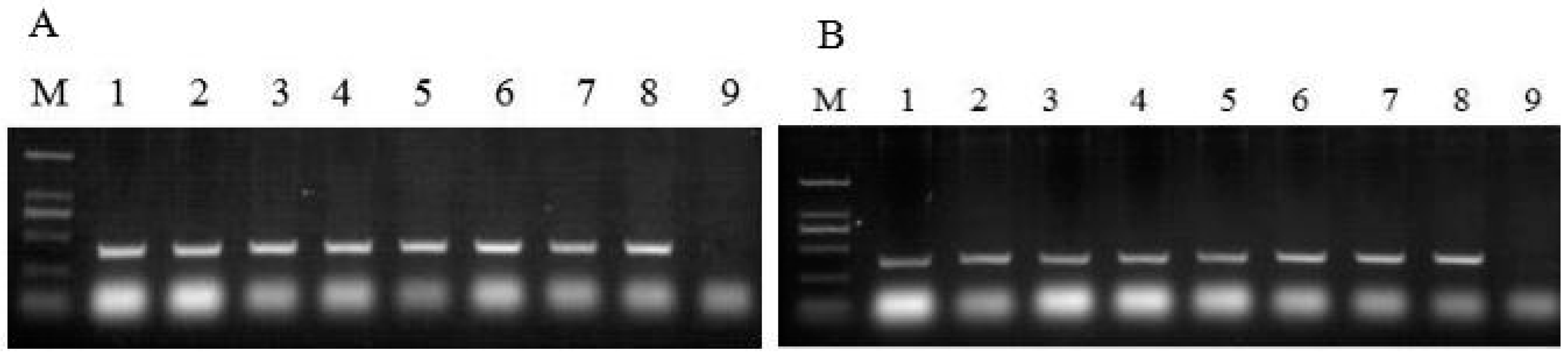 Molecules 22 00581 g004