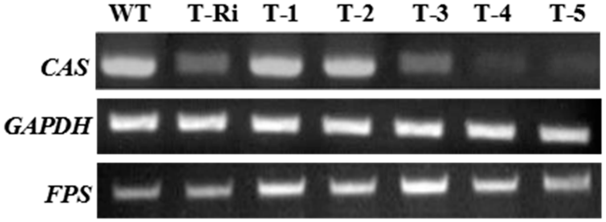 Molecules 22 00581 g006