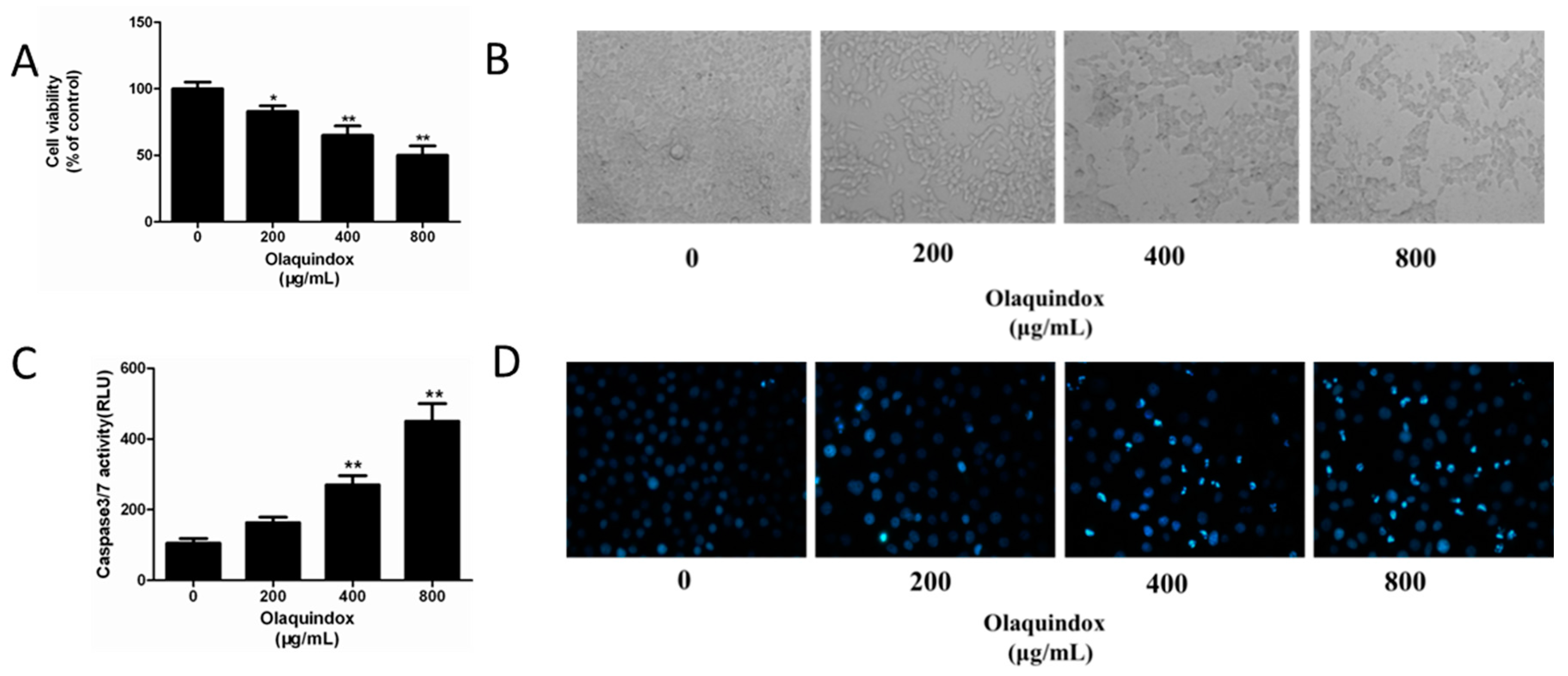 Molecules 22 00595 g001 550