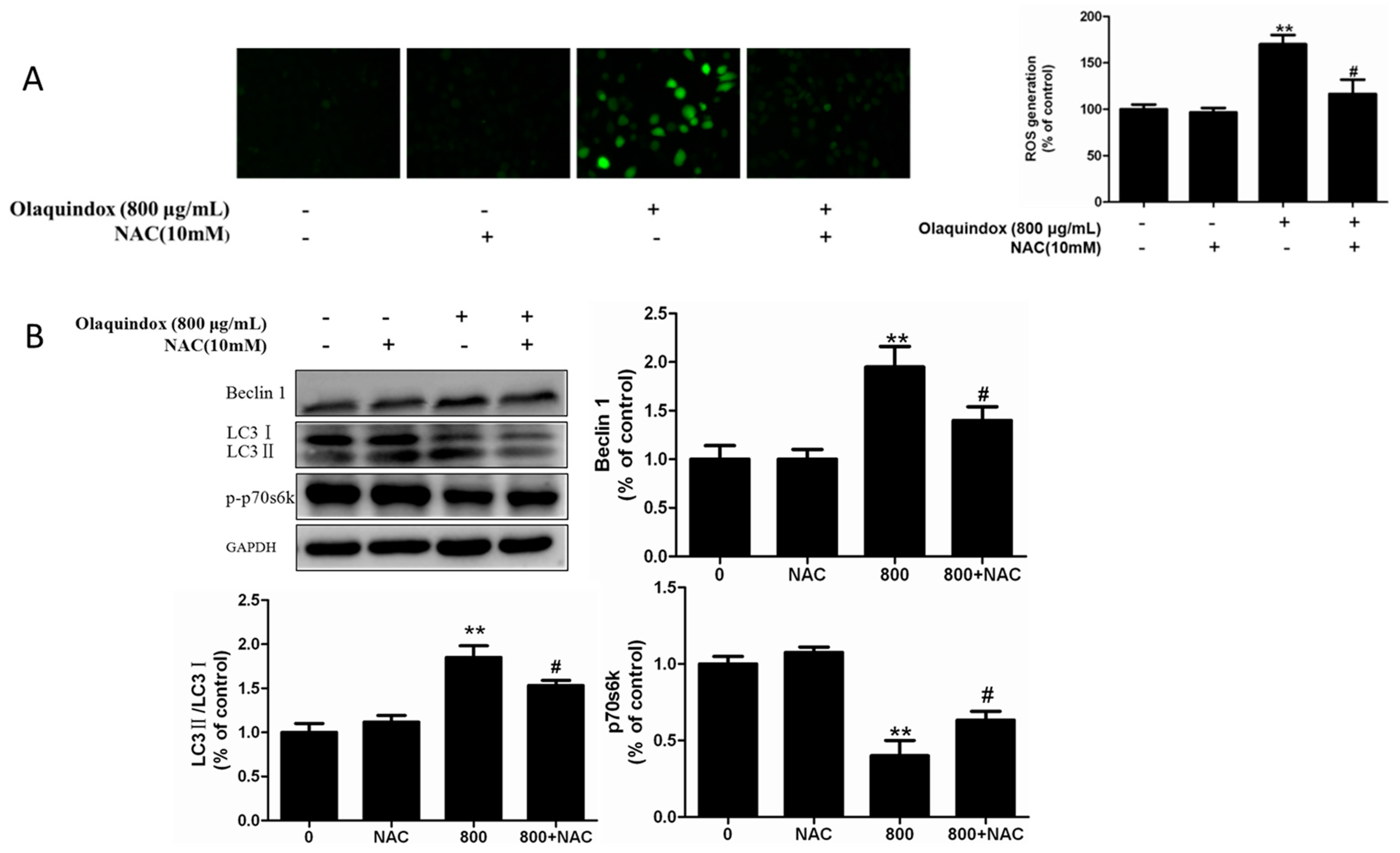 Molecules 22 00595 g004 550