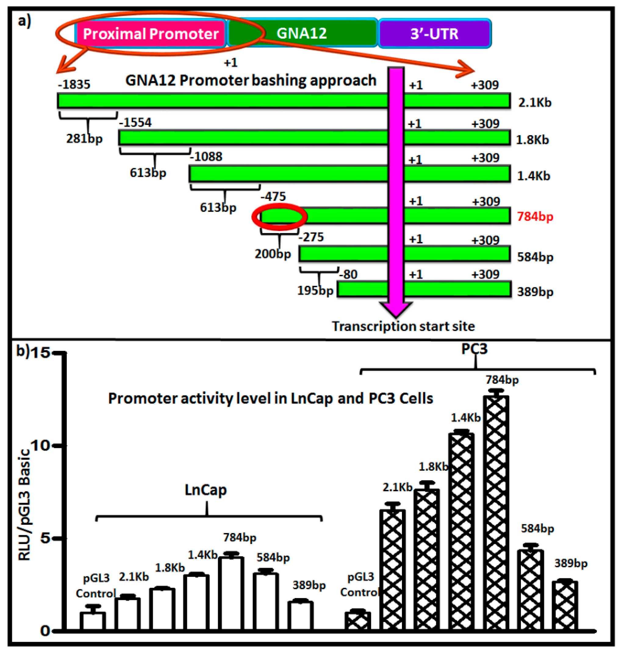 Molecules 22 00612 g002