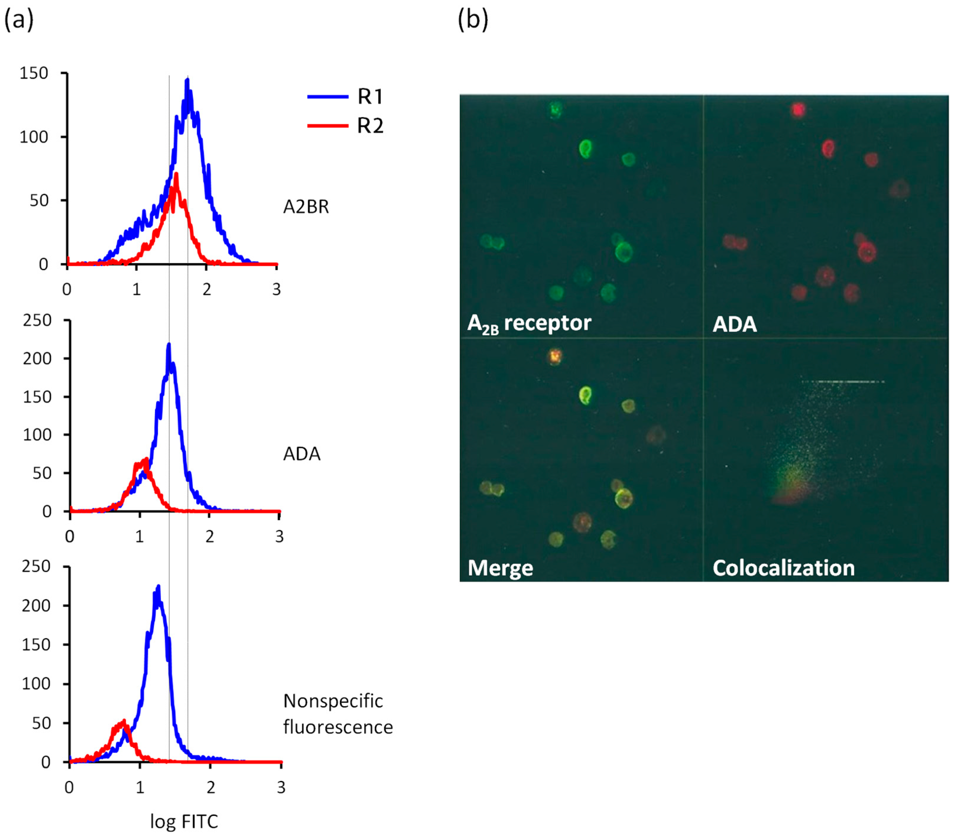 Molecules 22 00625 g002 550