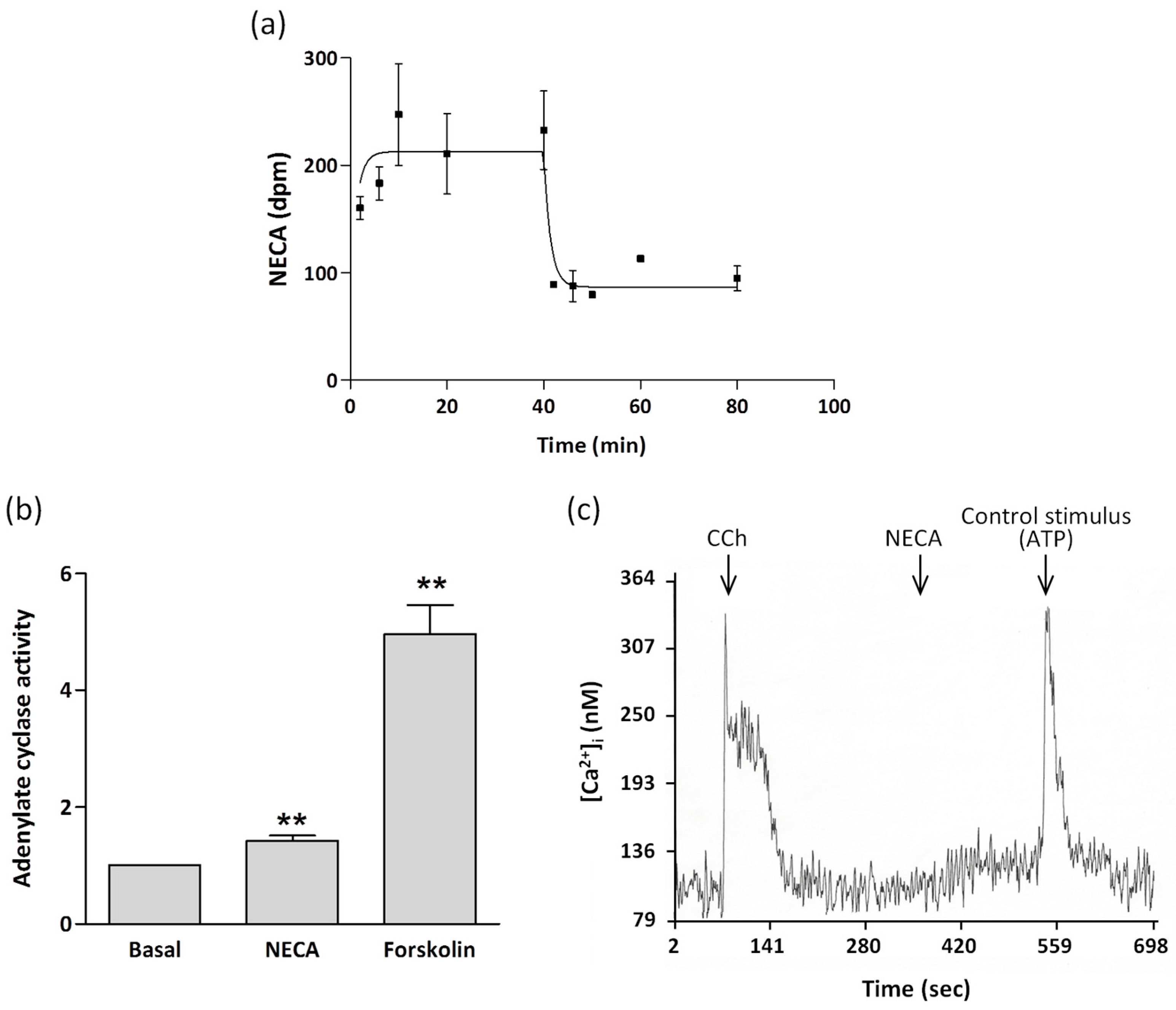 Molecules 22 00625 g003 550