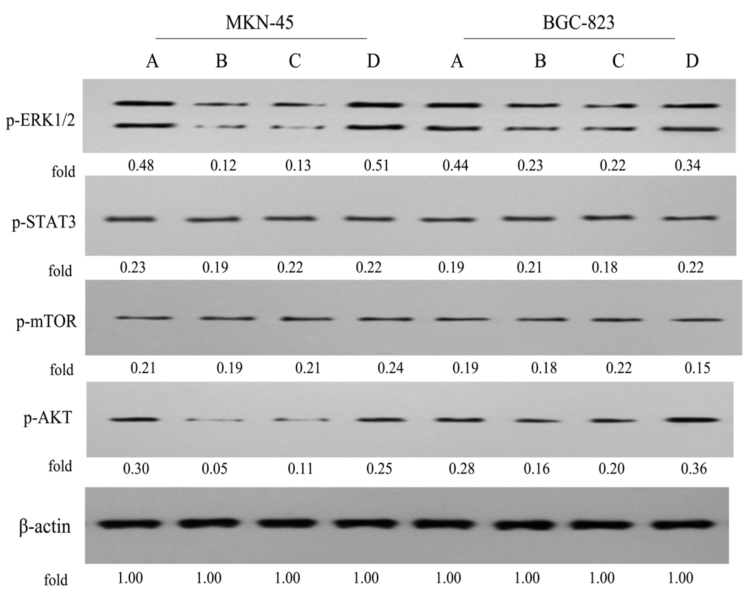 Molecules 22 00628 g010