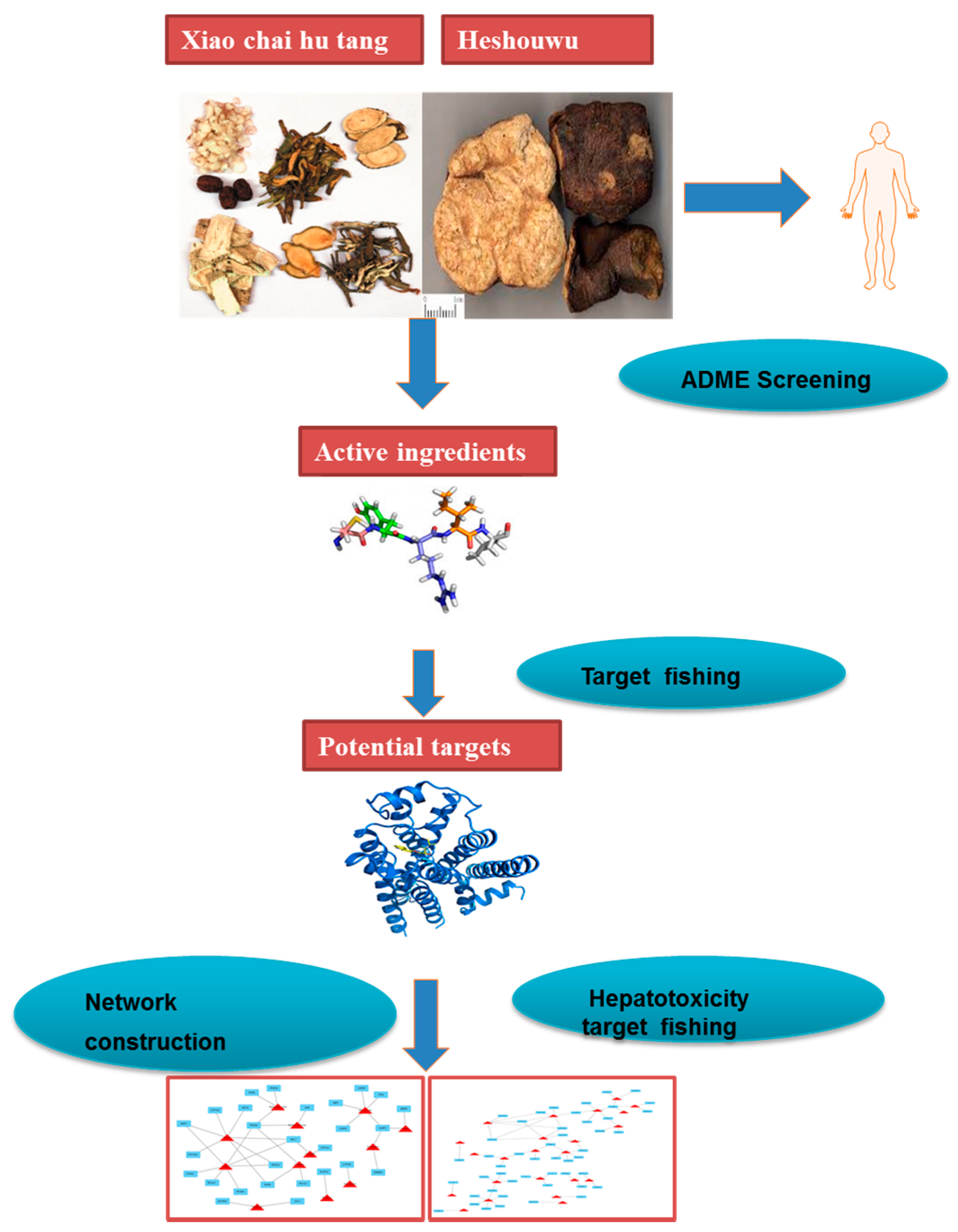 Molecules 22 00632 g003
