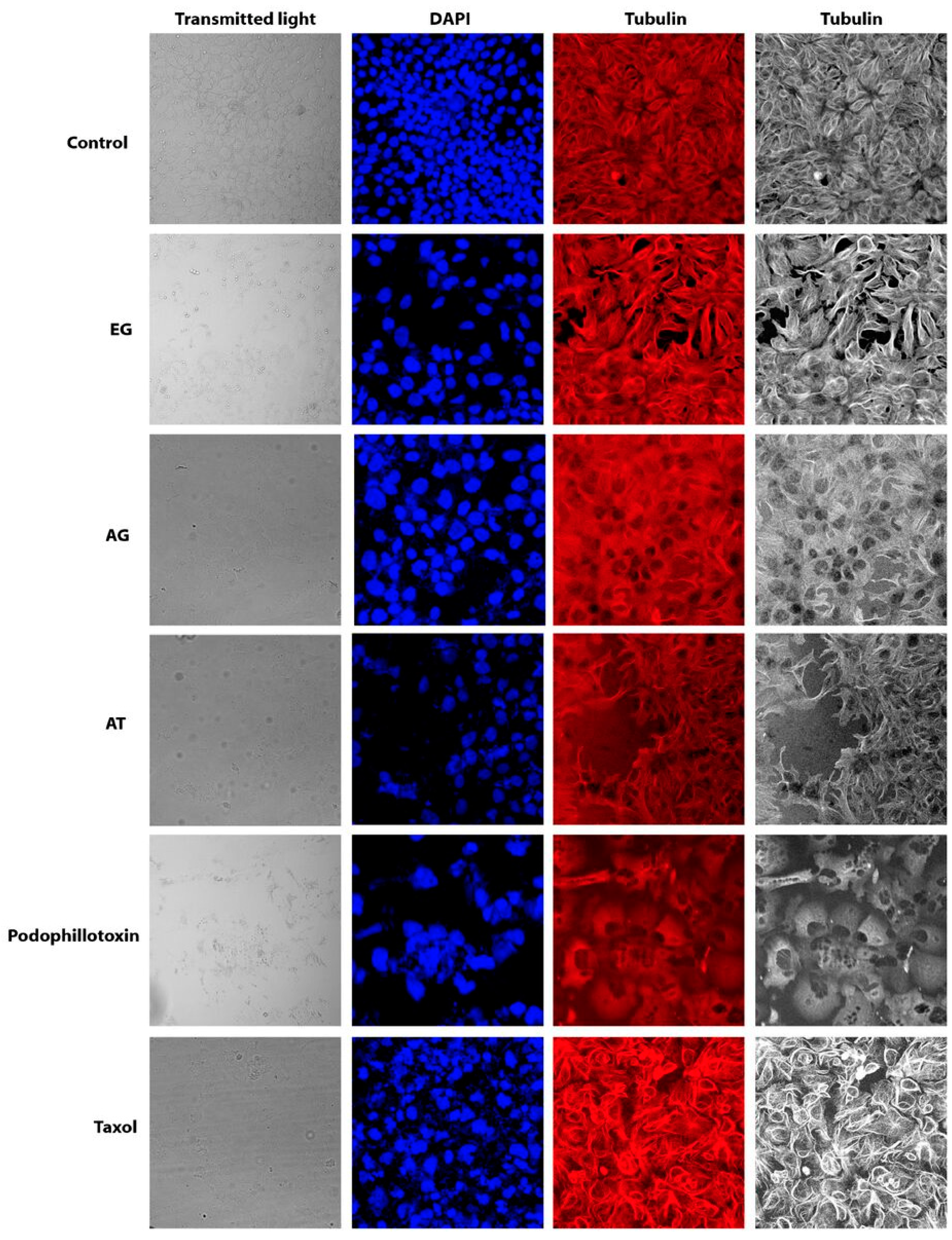 Molecules 22 00666 g003 Molecules 22 00666 g003