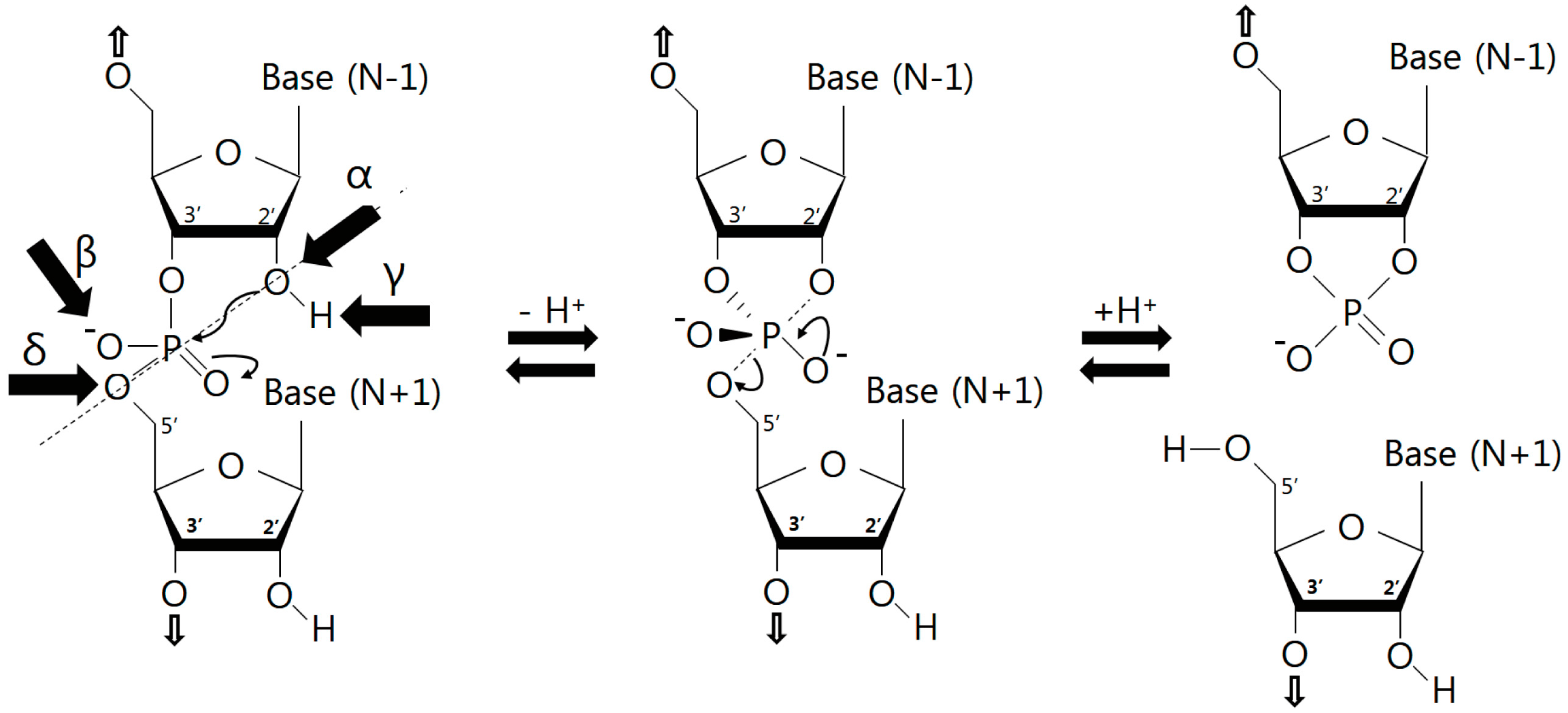 Molecules 22 00678 g004