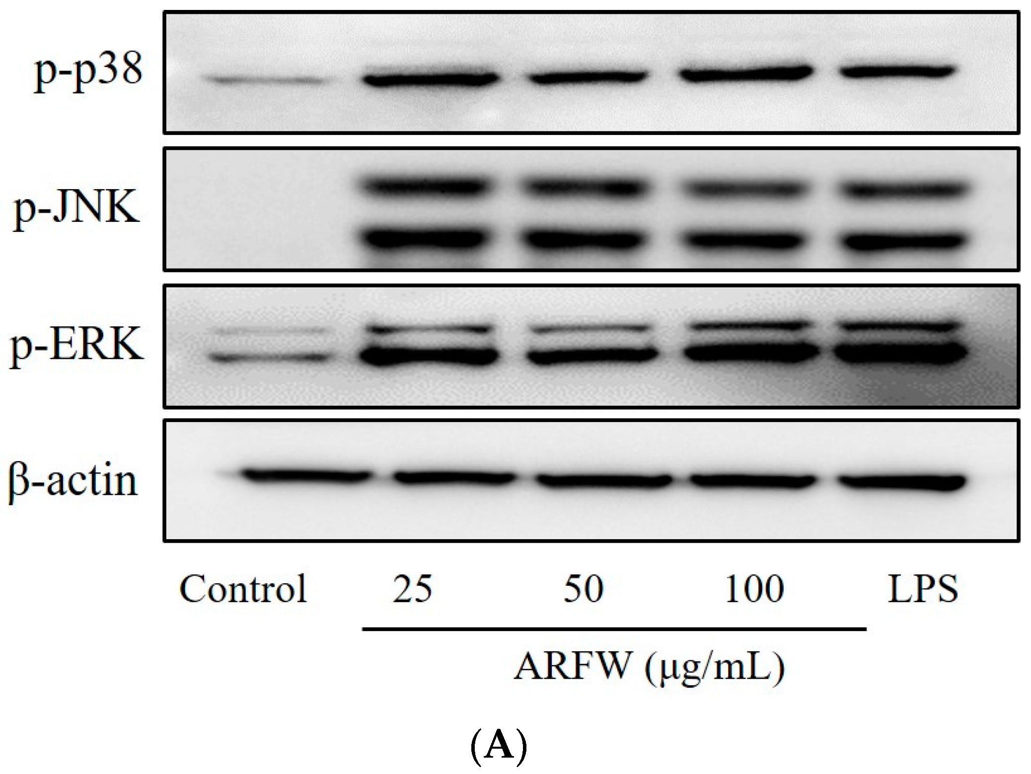 Molecules 22 00679 g005a