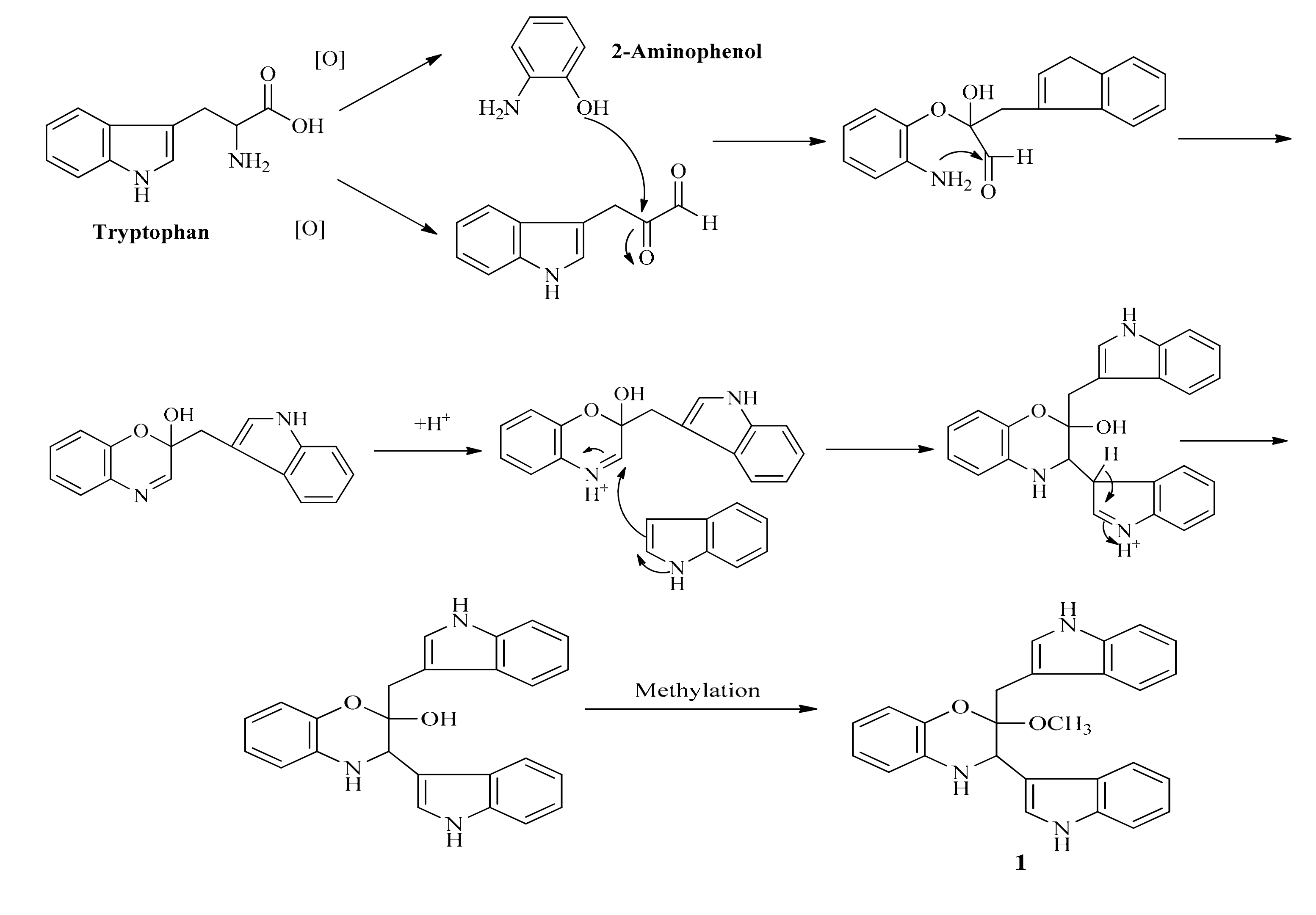 Molecules 22 00681 sch002 550