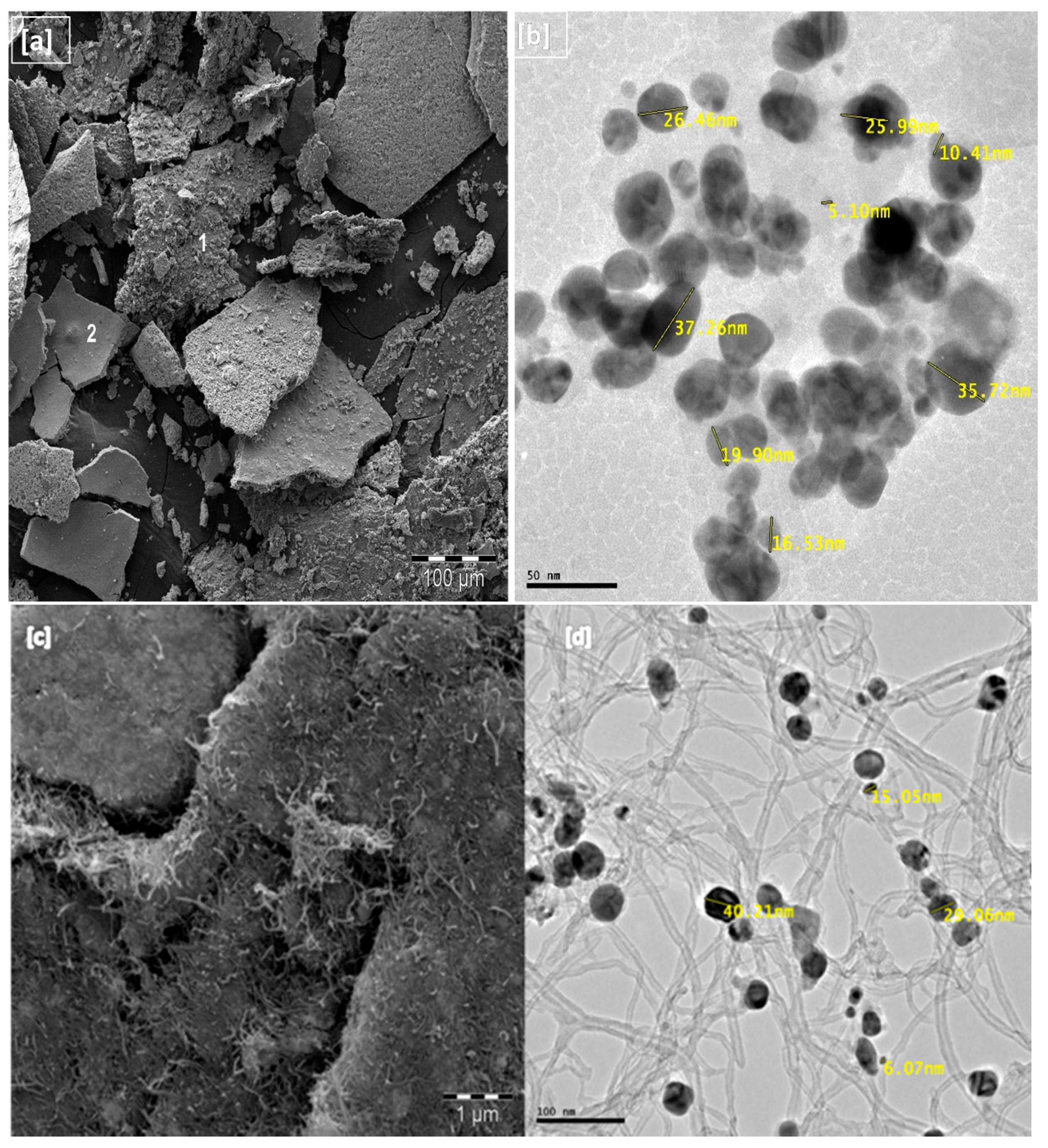 Molecules 22 00701 g003