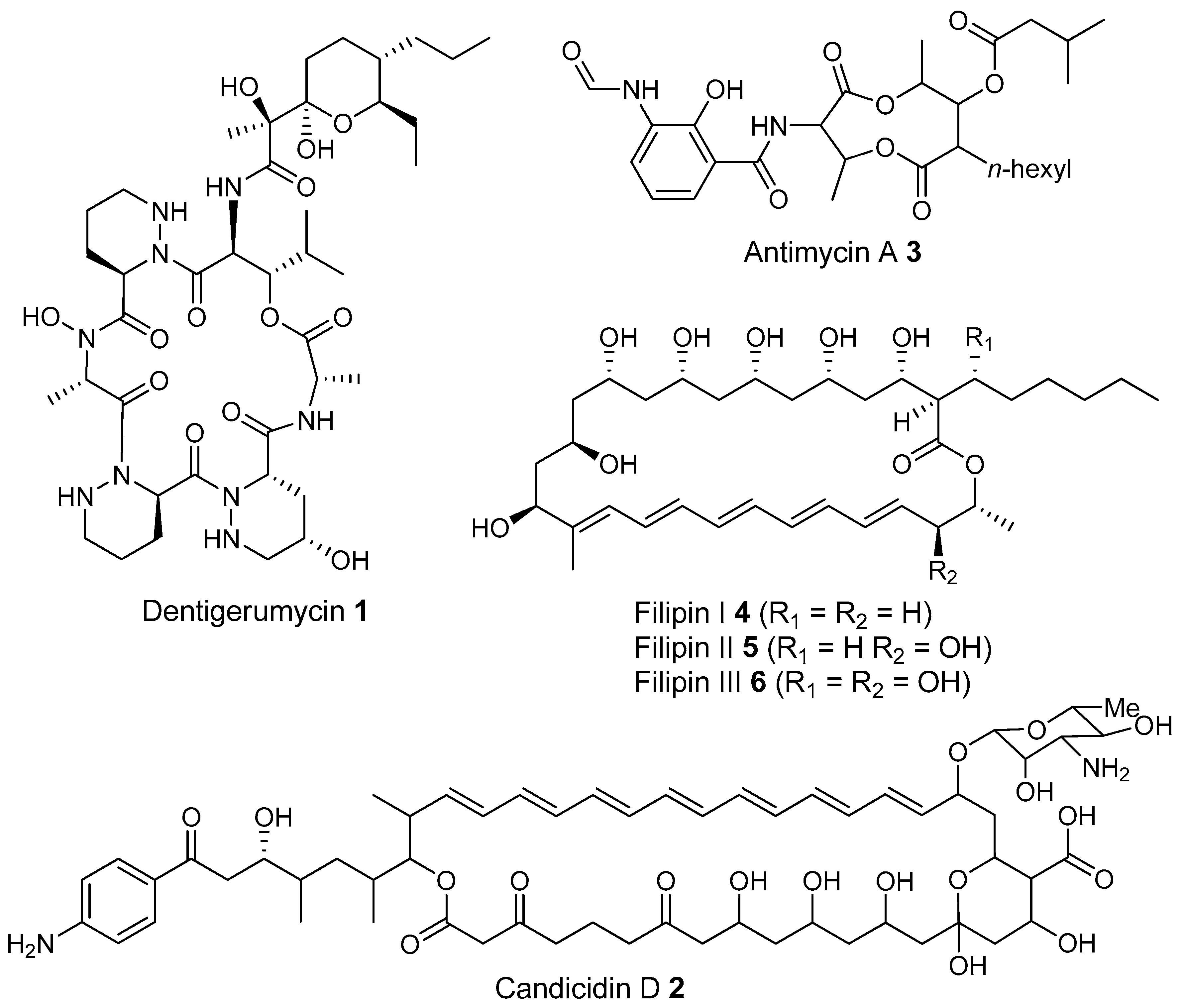 Molecules 22 00707 g007