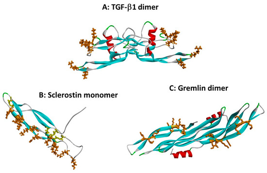 Heparin, Heparan Sulphate and the TGF-β Cytokine Superfamily