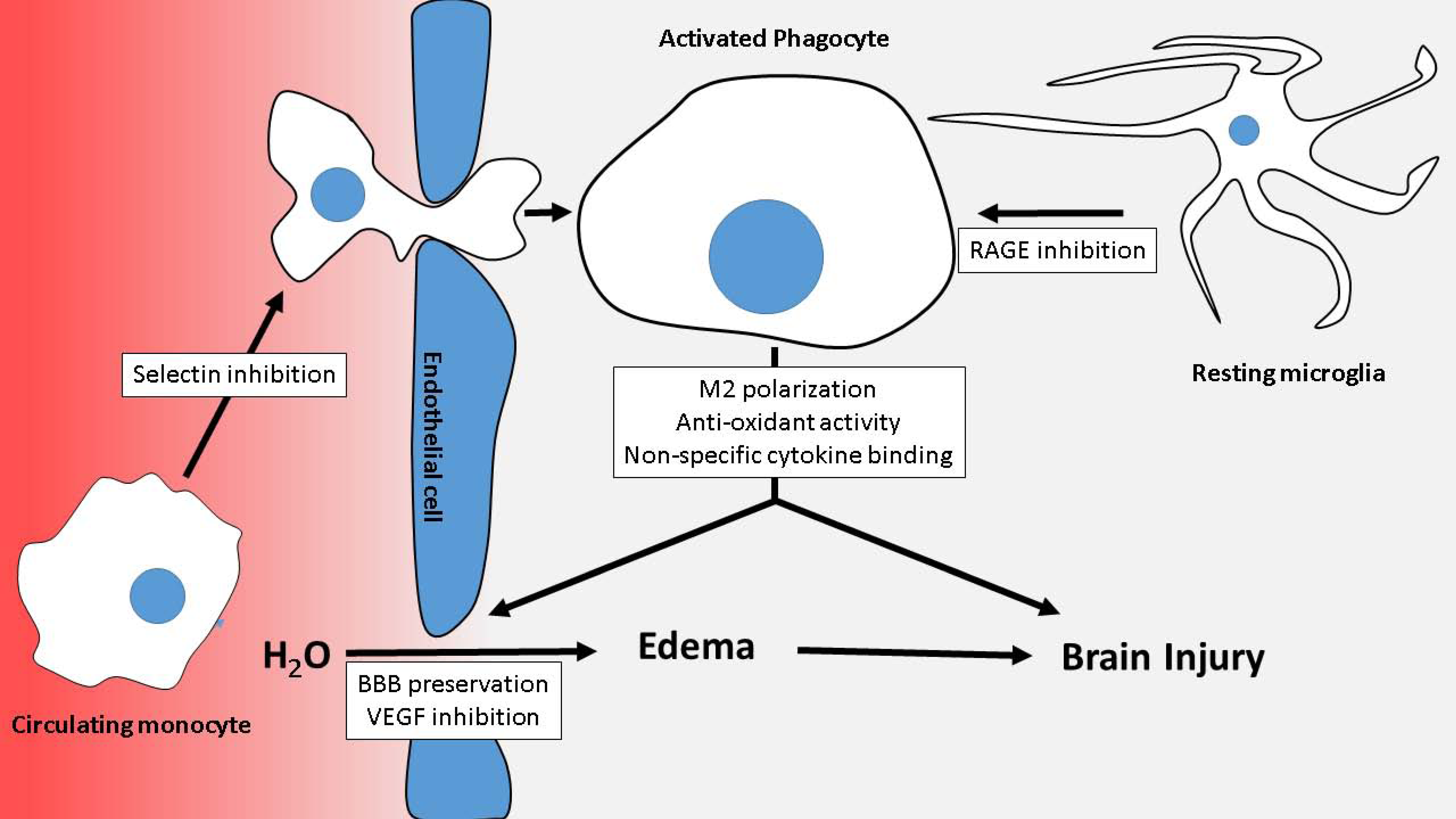 Molecules 22 00724 g002 550
