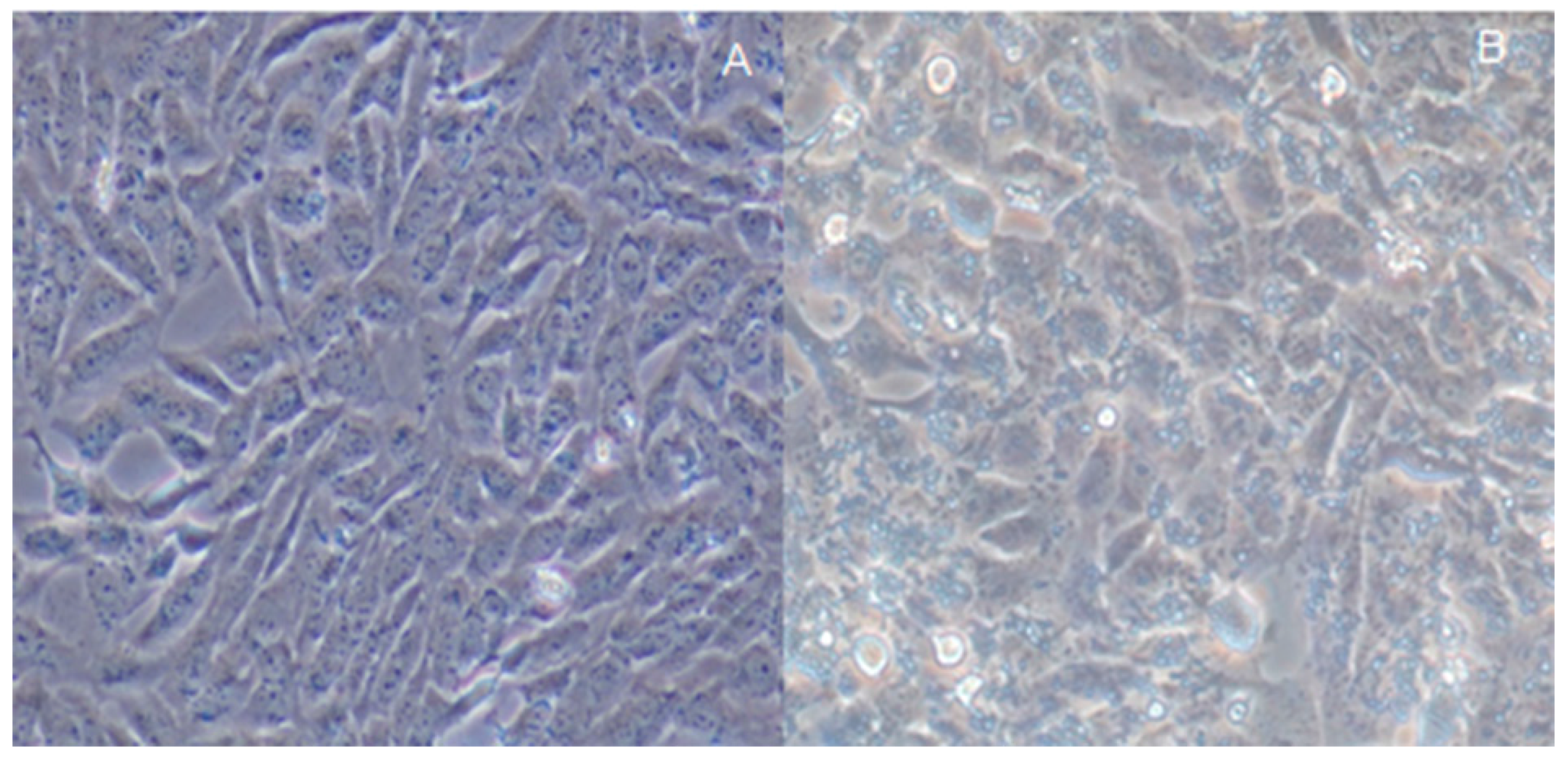 Molecules 22 00744 g005