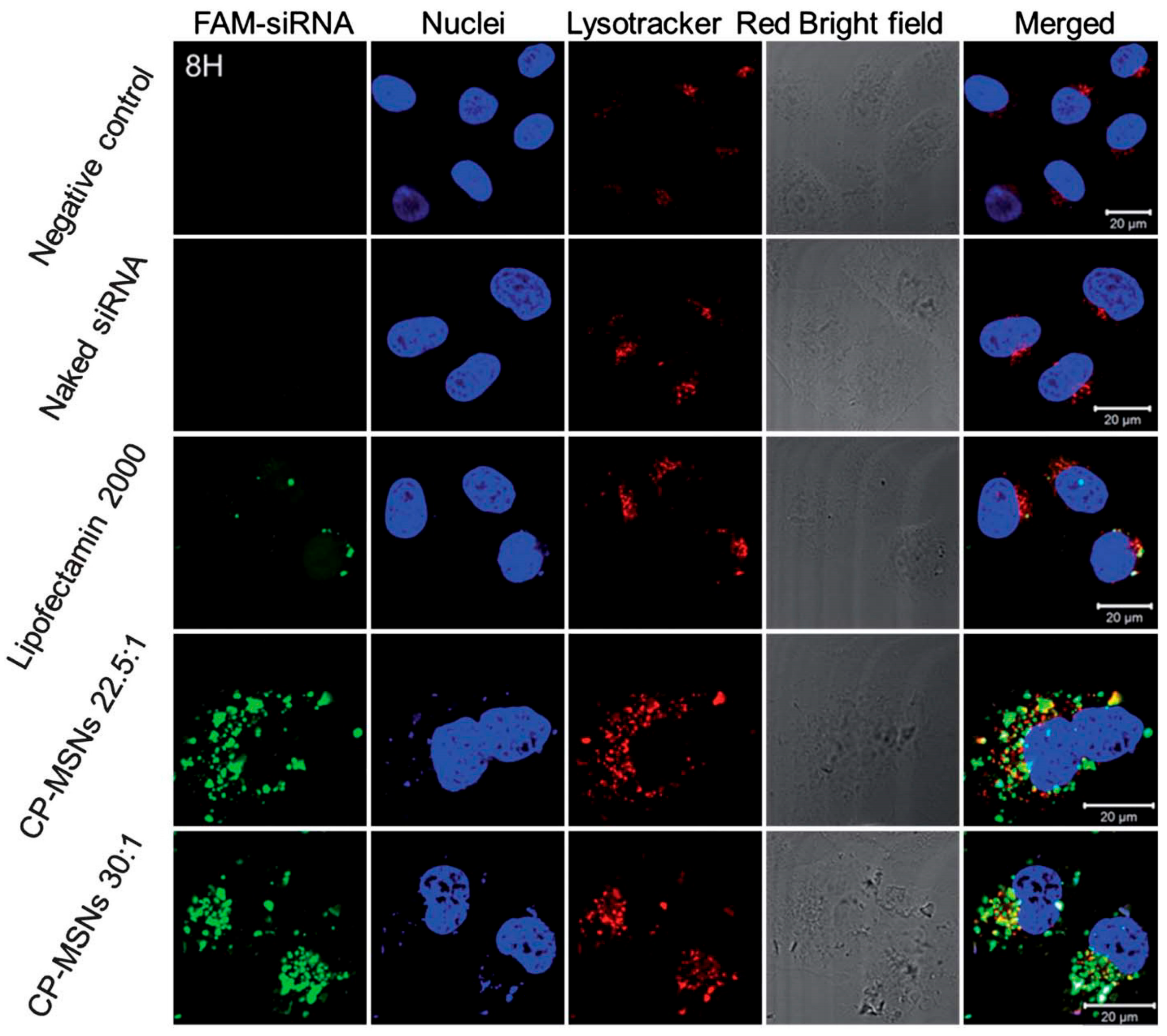 Molecules 22 00782 g004 550