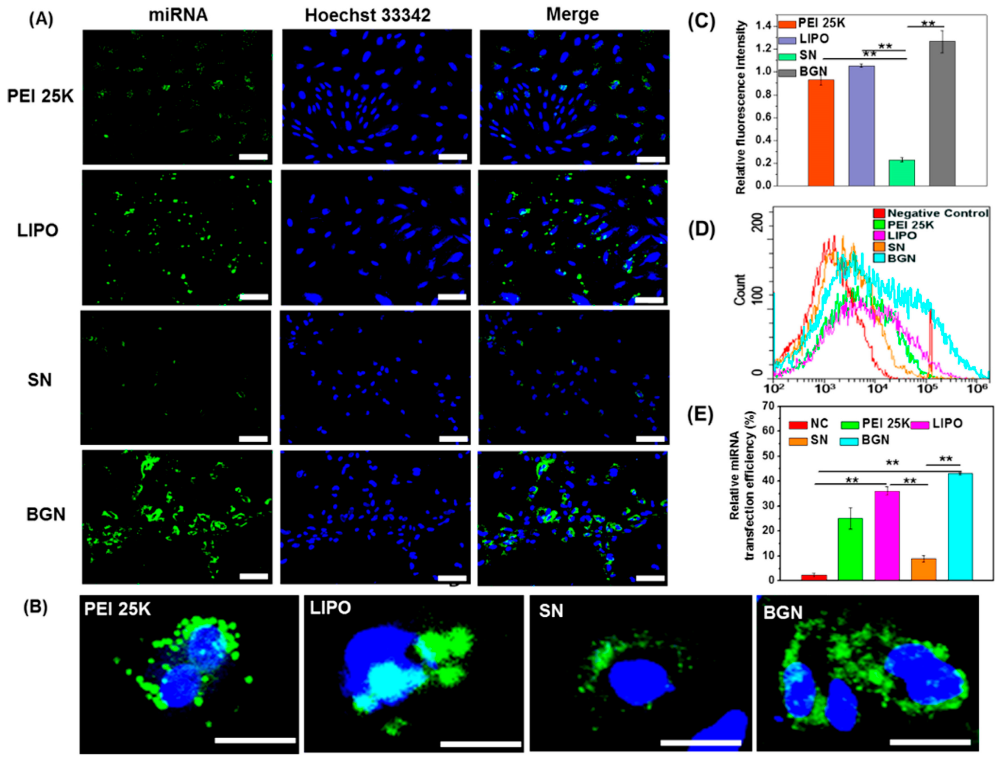 Molecules 22 00782 g005 550
