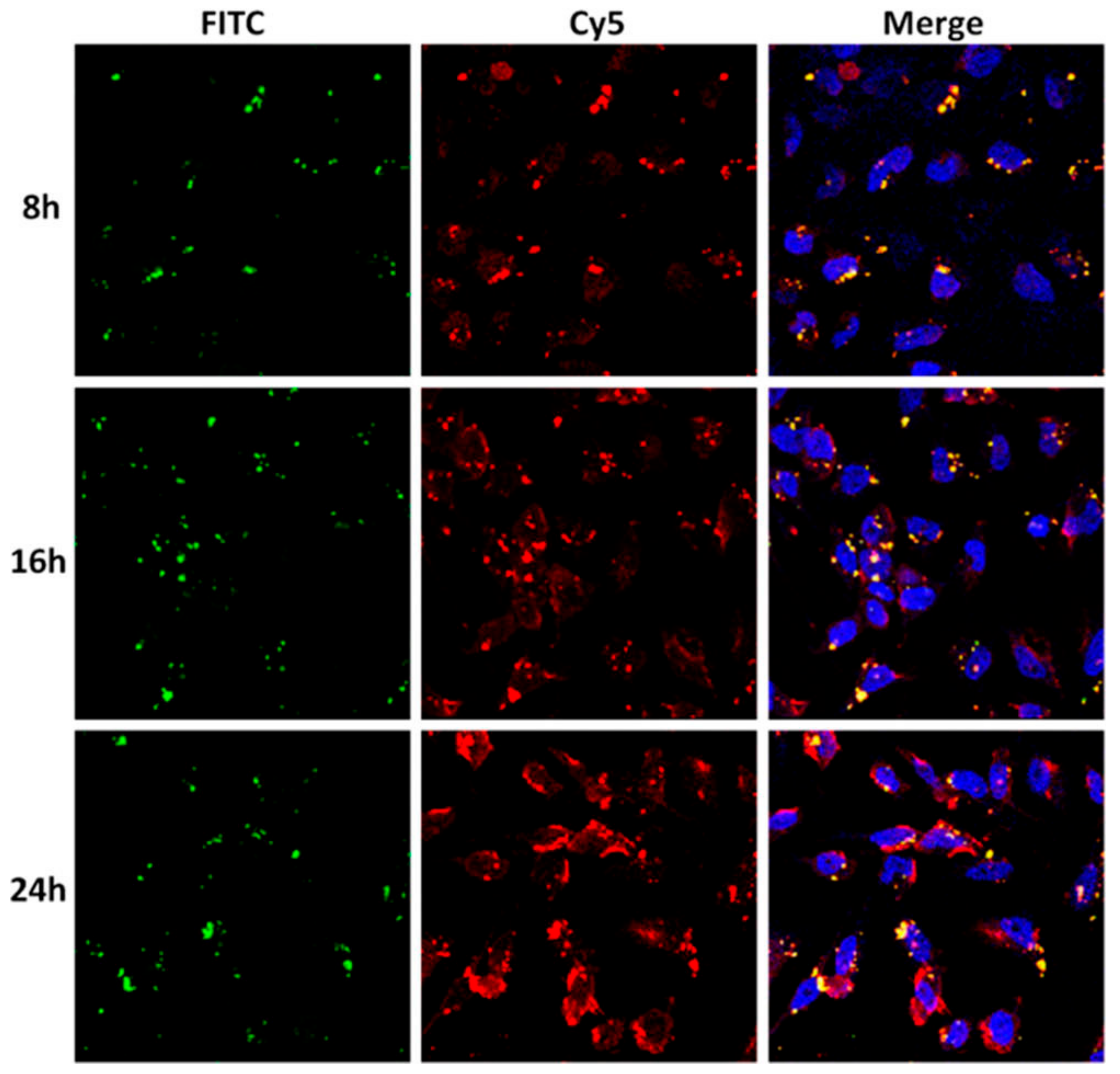Molecules 22 00782 g008 550