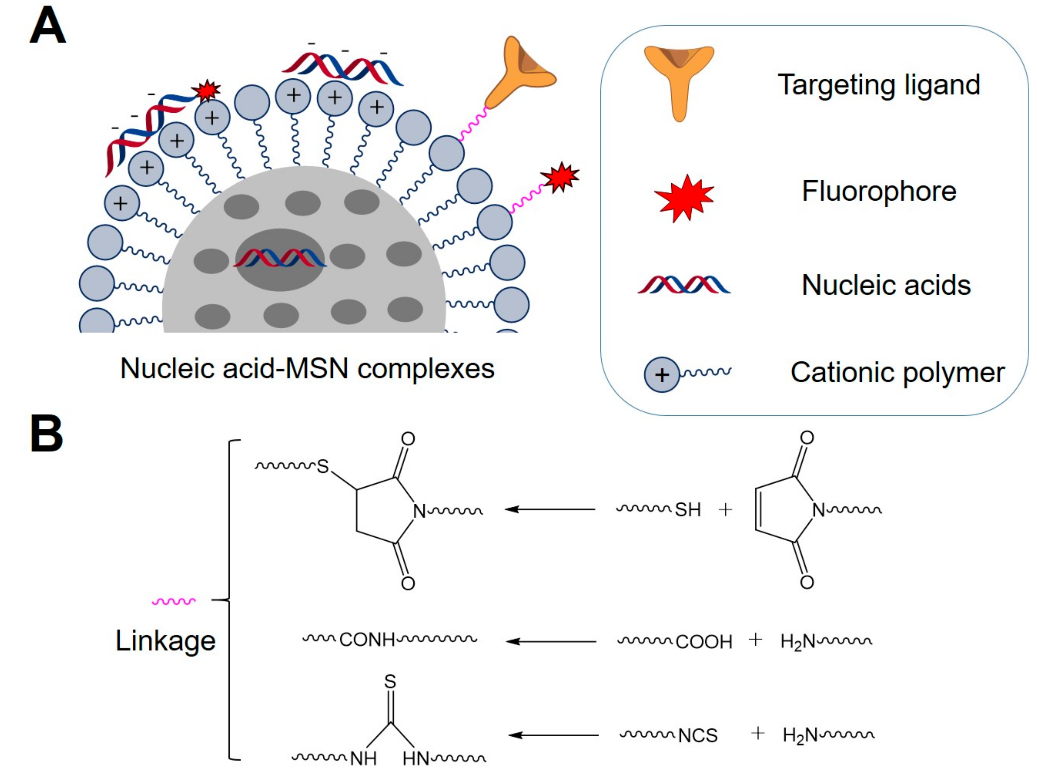 Molecules 22 00782 sch001 550