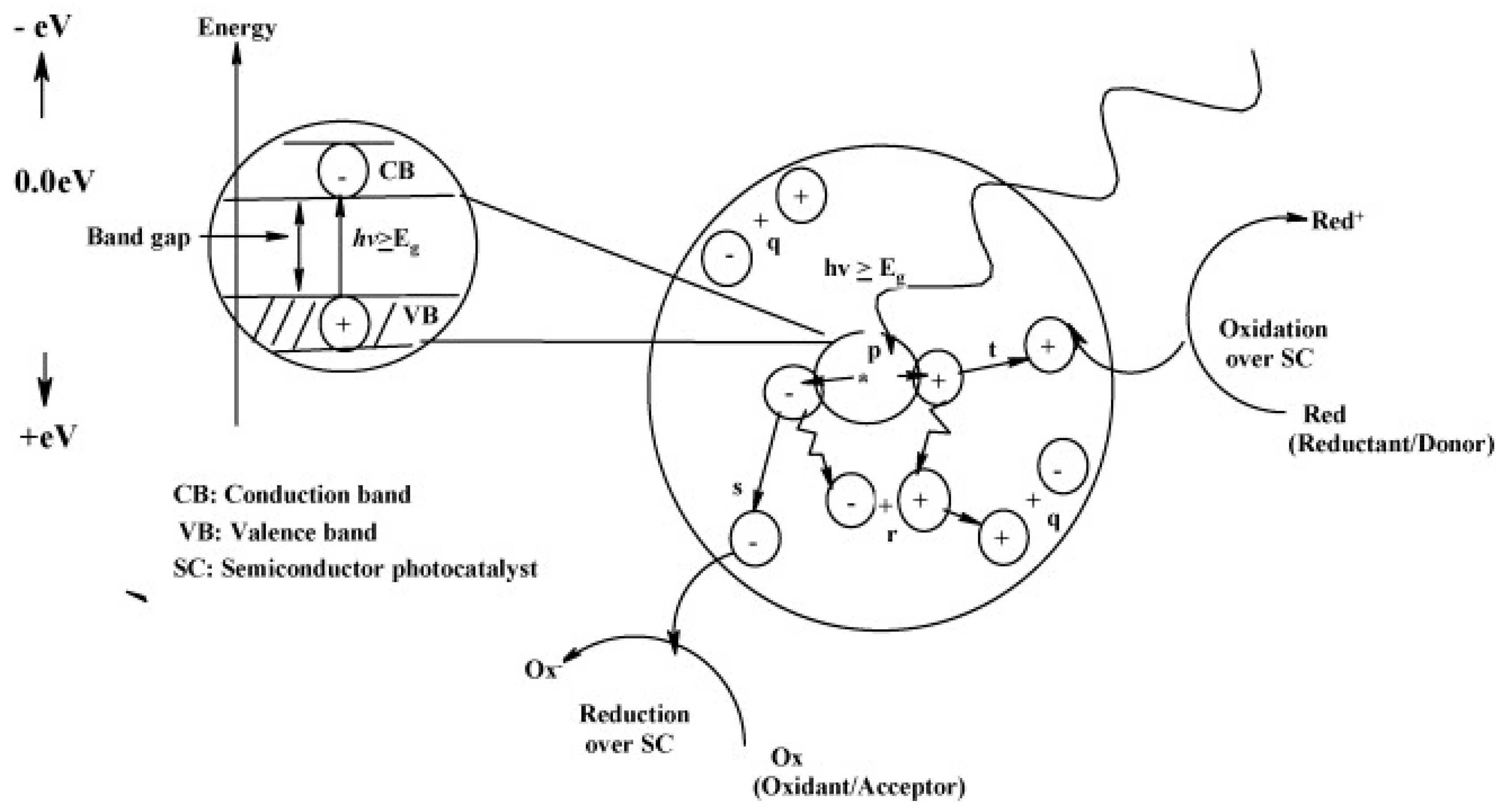 Molecules 22 00790 g001
