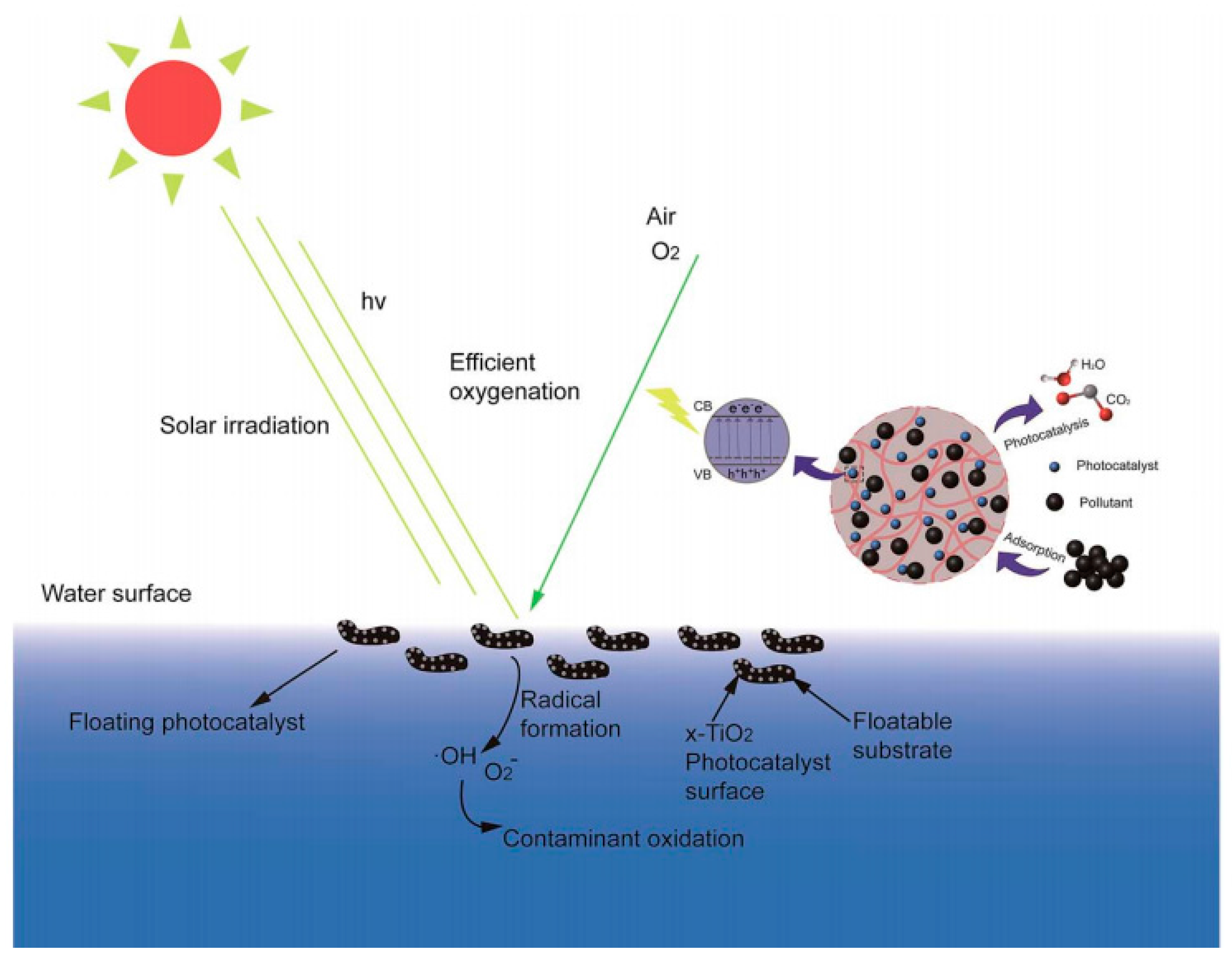 Molecules 22 00790 g004
