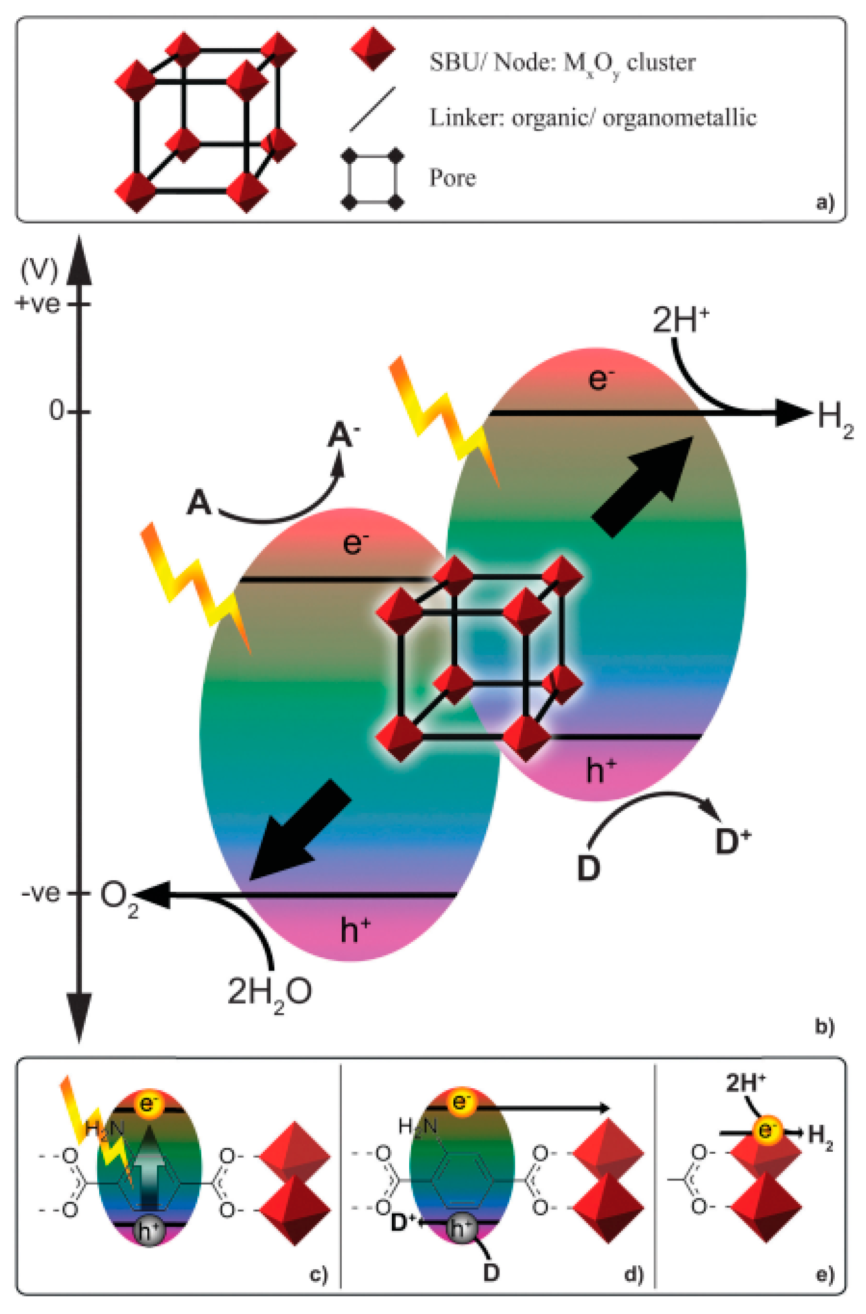 Molecules 22 00790 g006