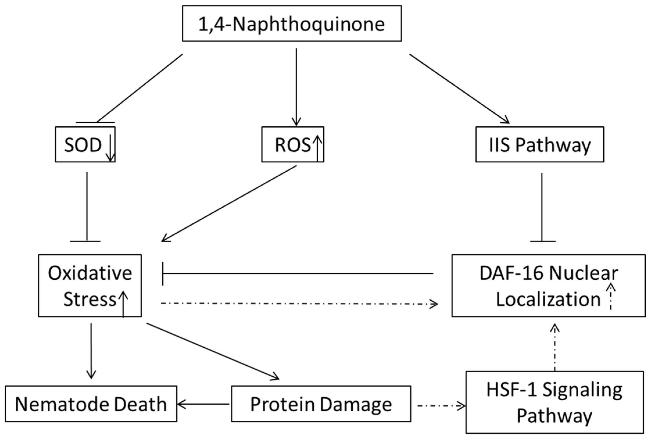 Molecules 22 00798 g007