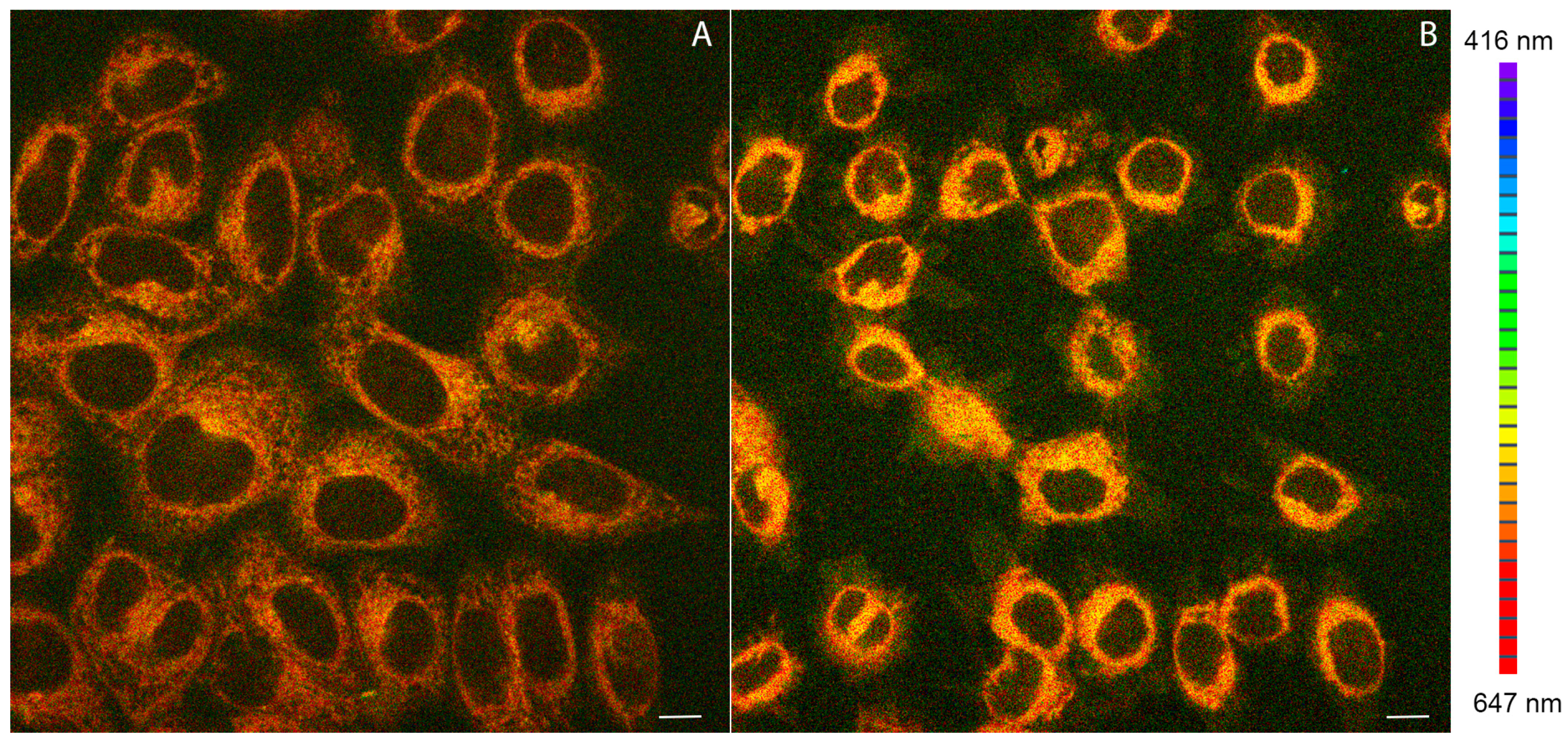 Molecules 22 00809 g005