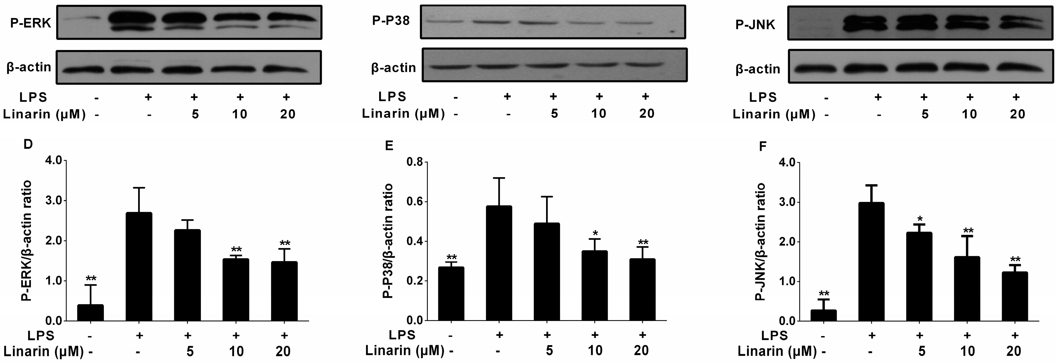 Molecules 22 00811 g008b