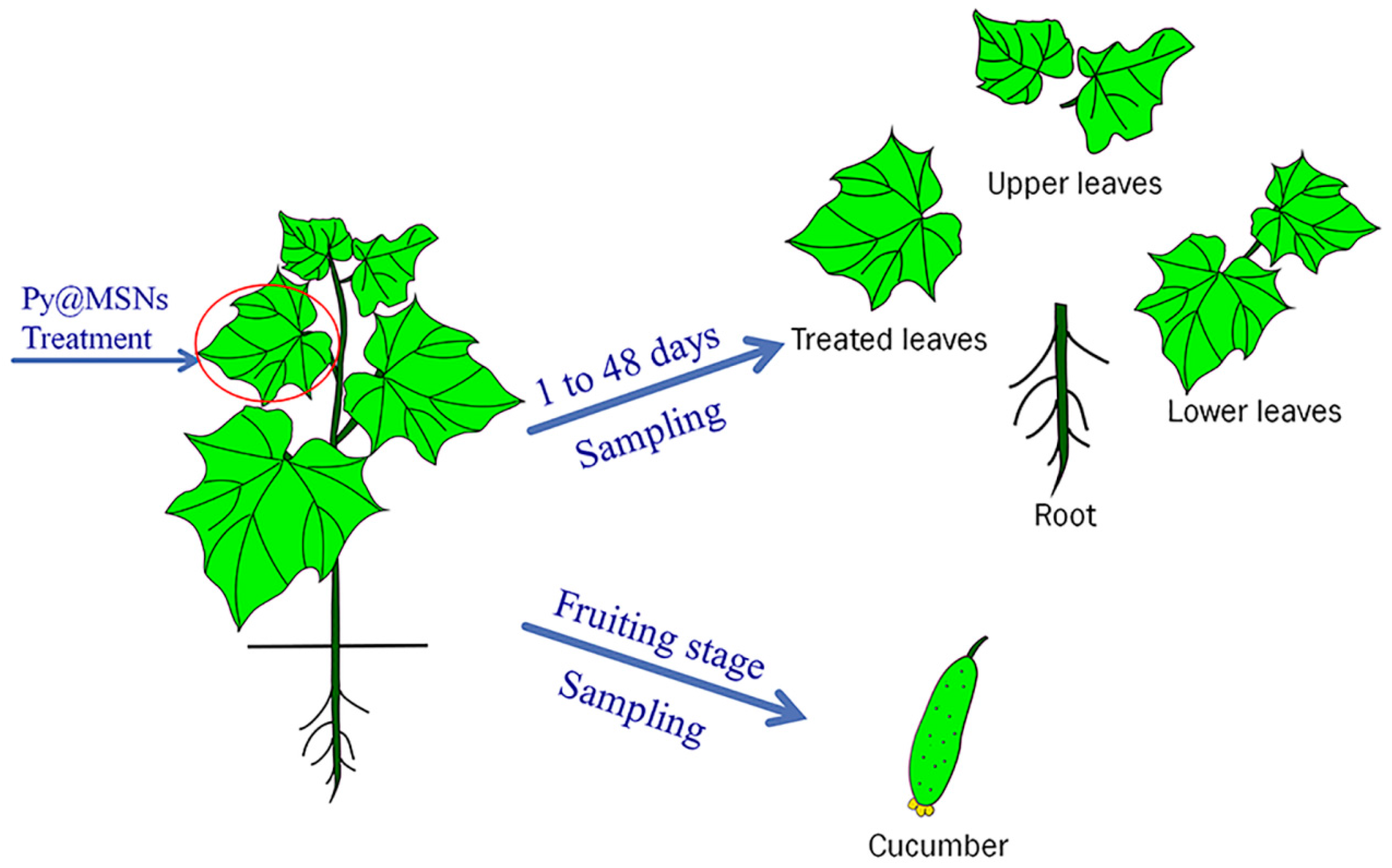 Molecules 22 00817 g007 550