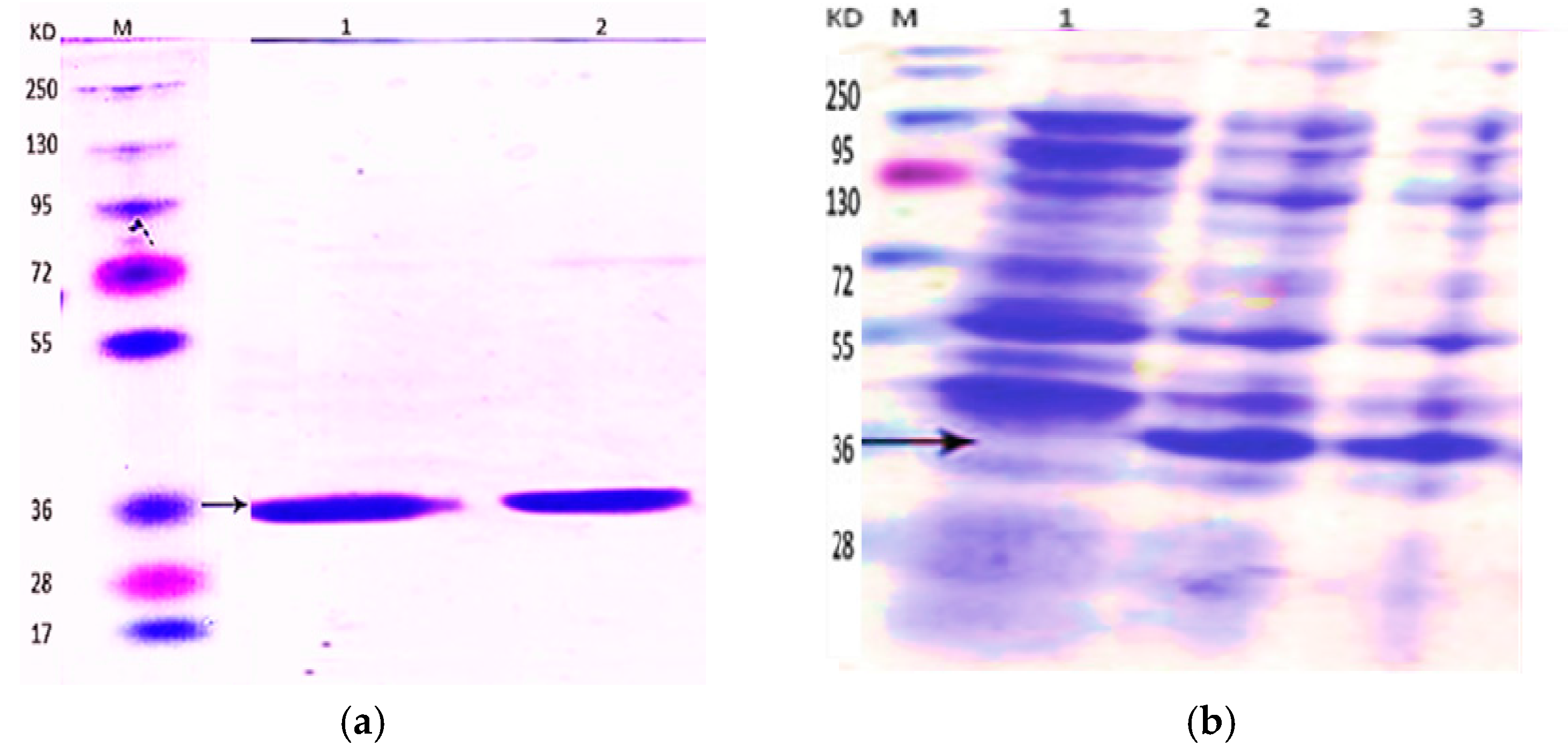 Molecules 22 00822 g001