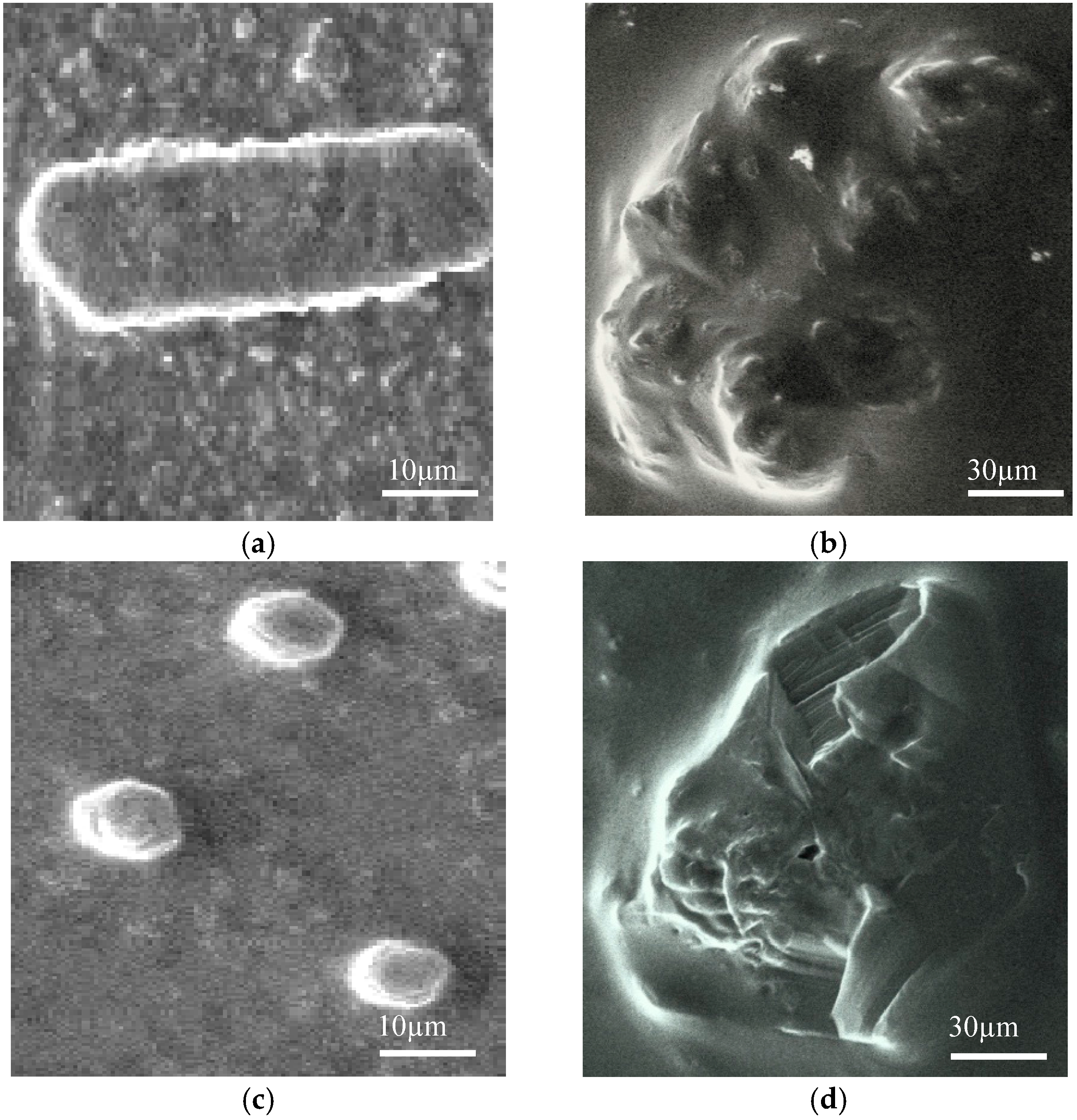 Molecules 22 00822 g006