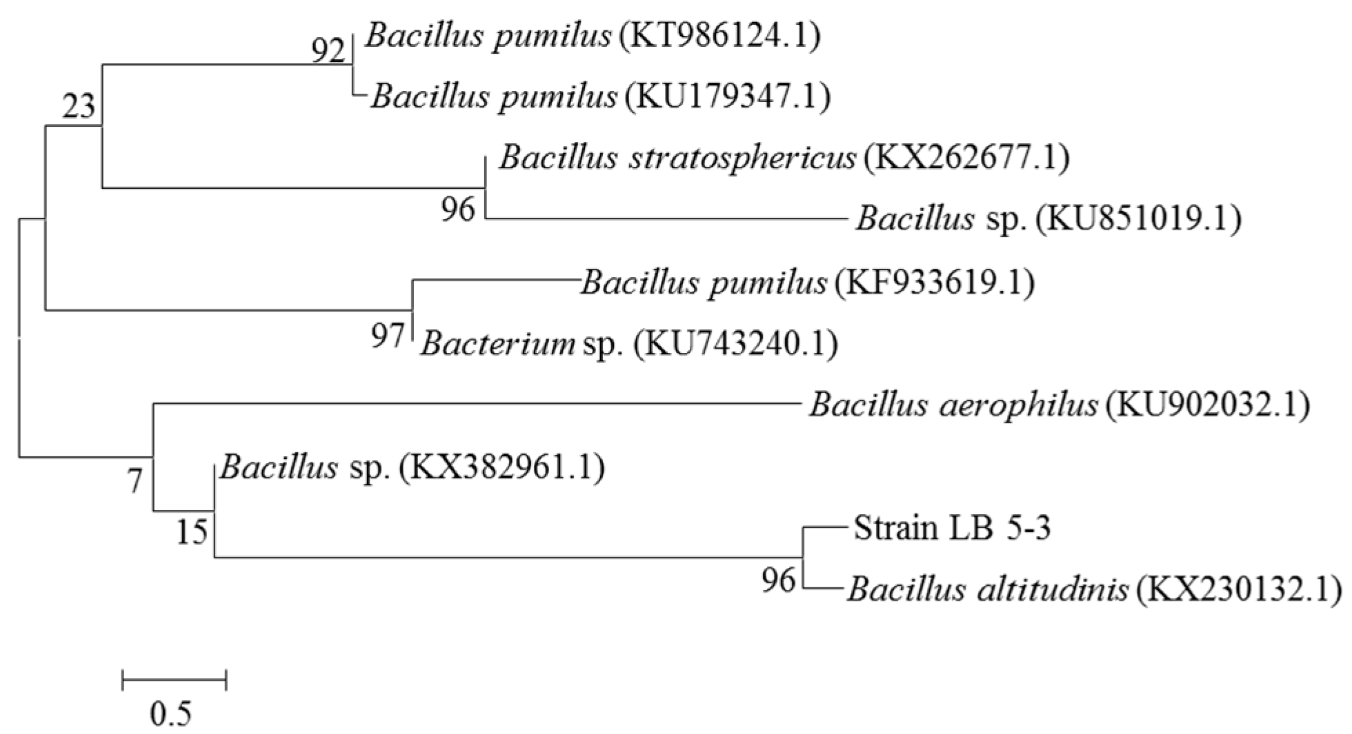 Molecules 22 00837 g002