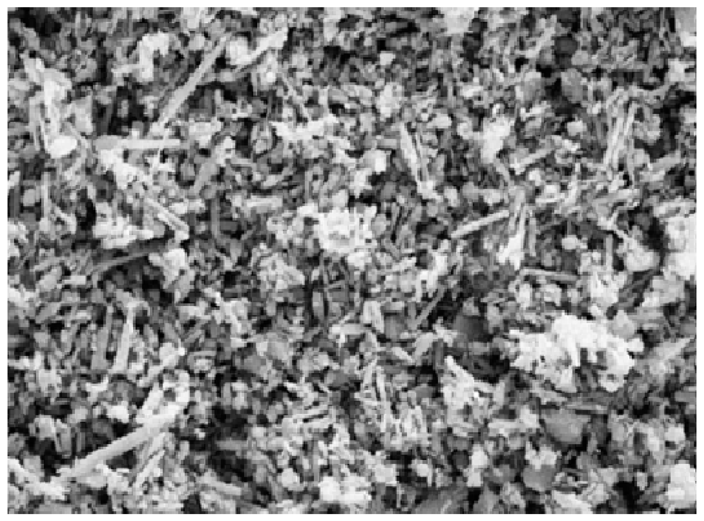 Molecules 22 00838 g004