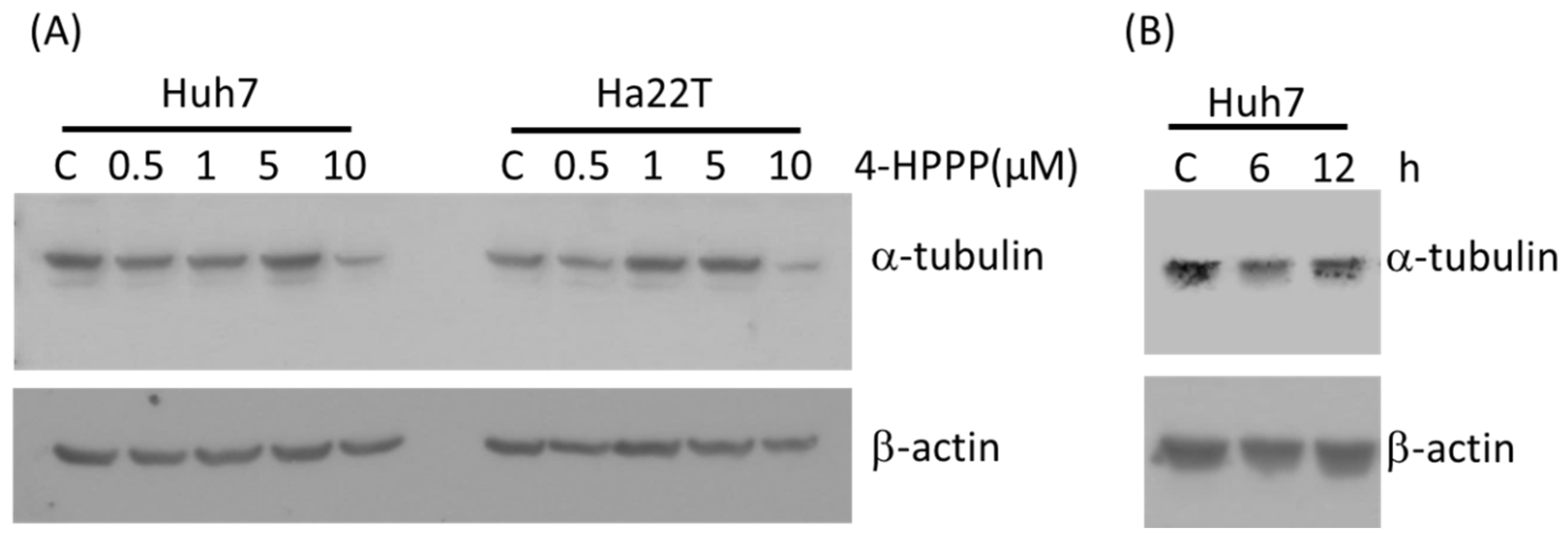 Molecules 22 00854 g004