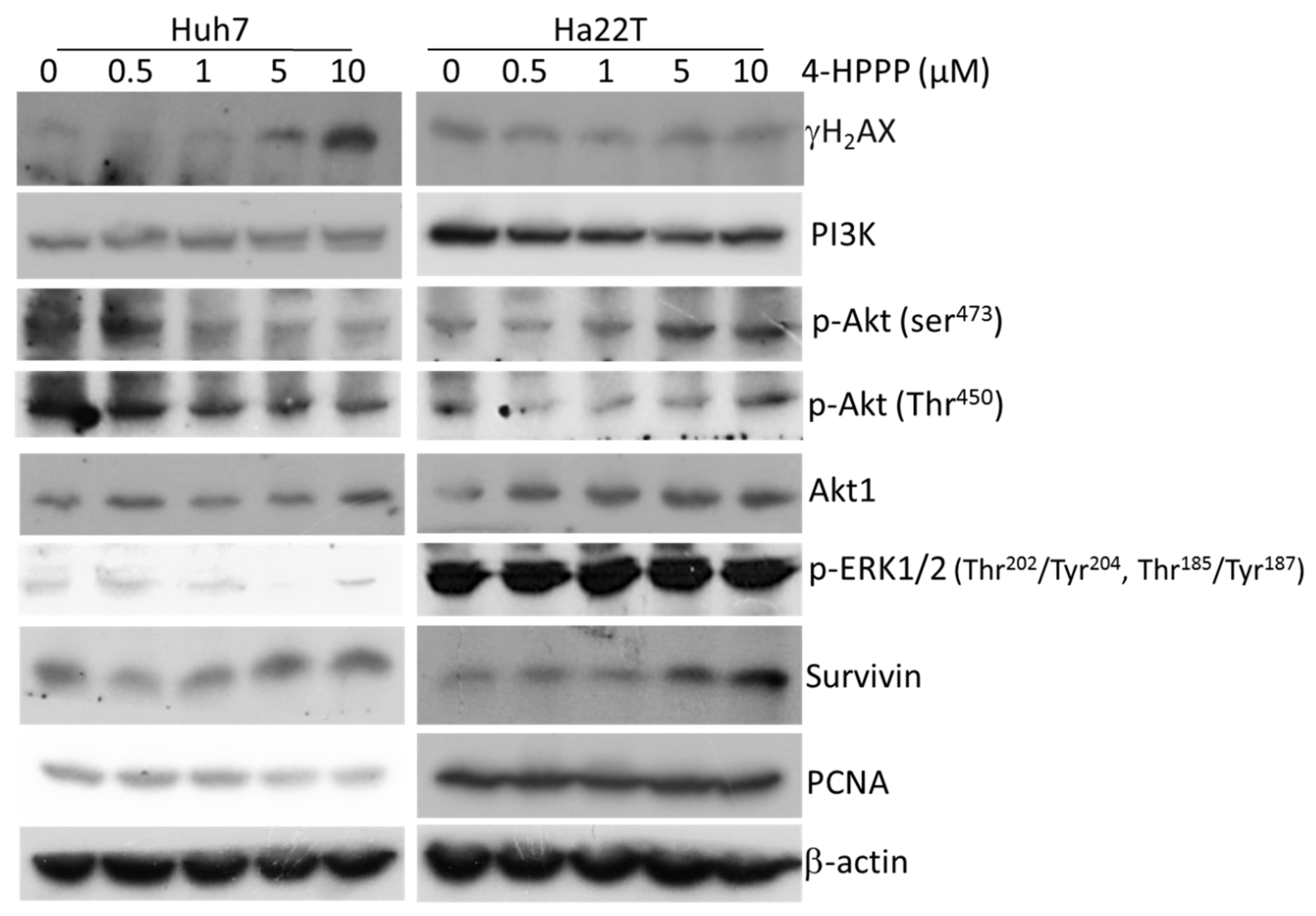 Molecules 22 00854 g008