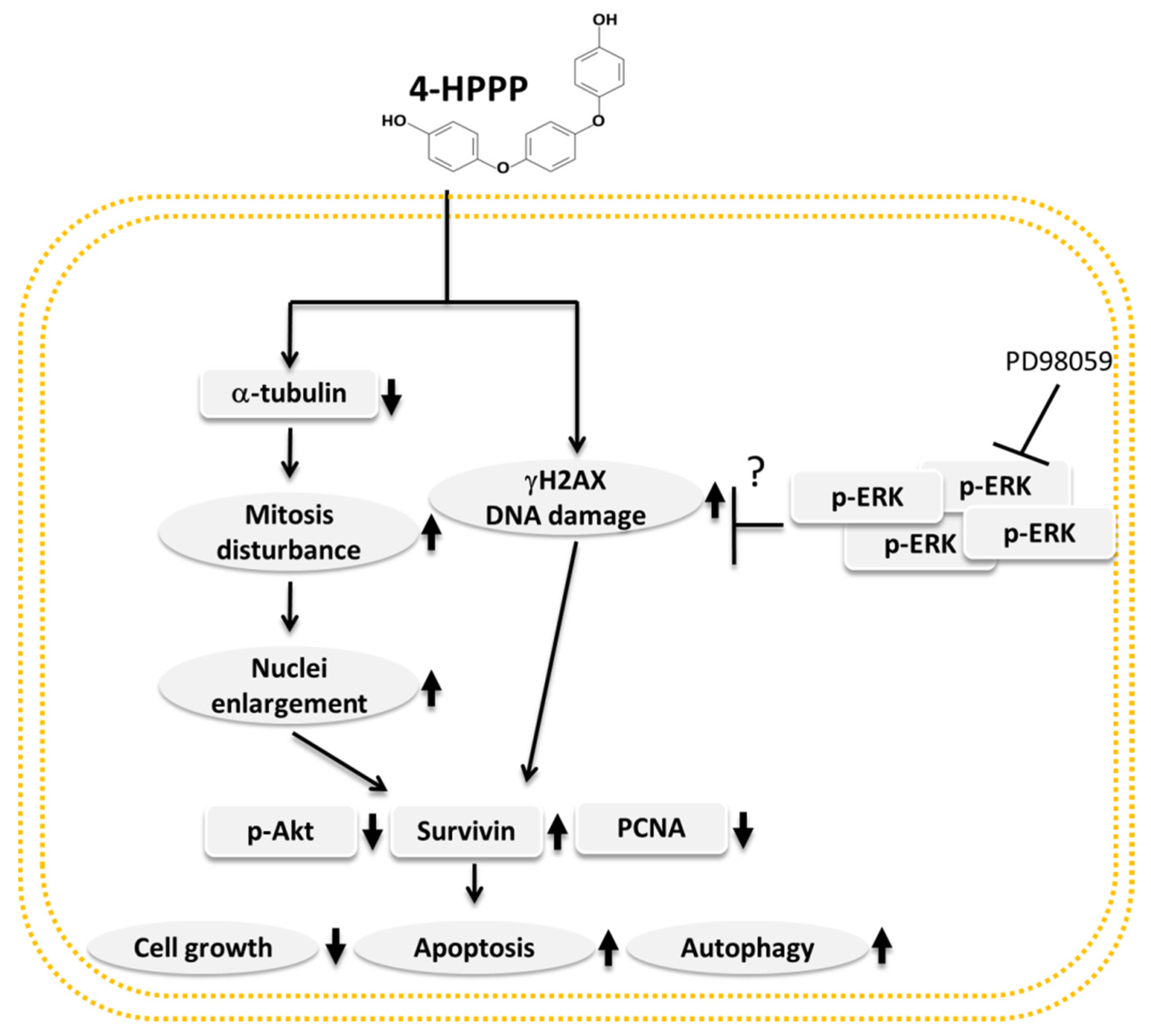 Molecules 22 00854 g010