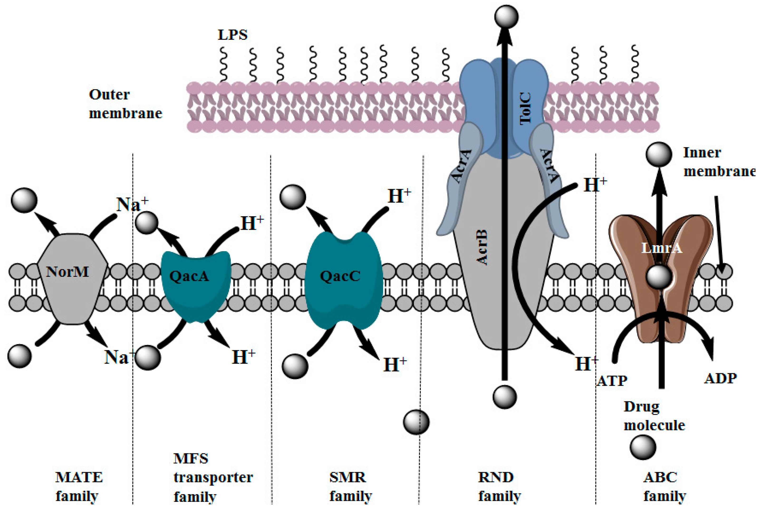 Molecules 22 00871 g003