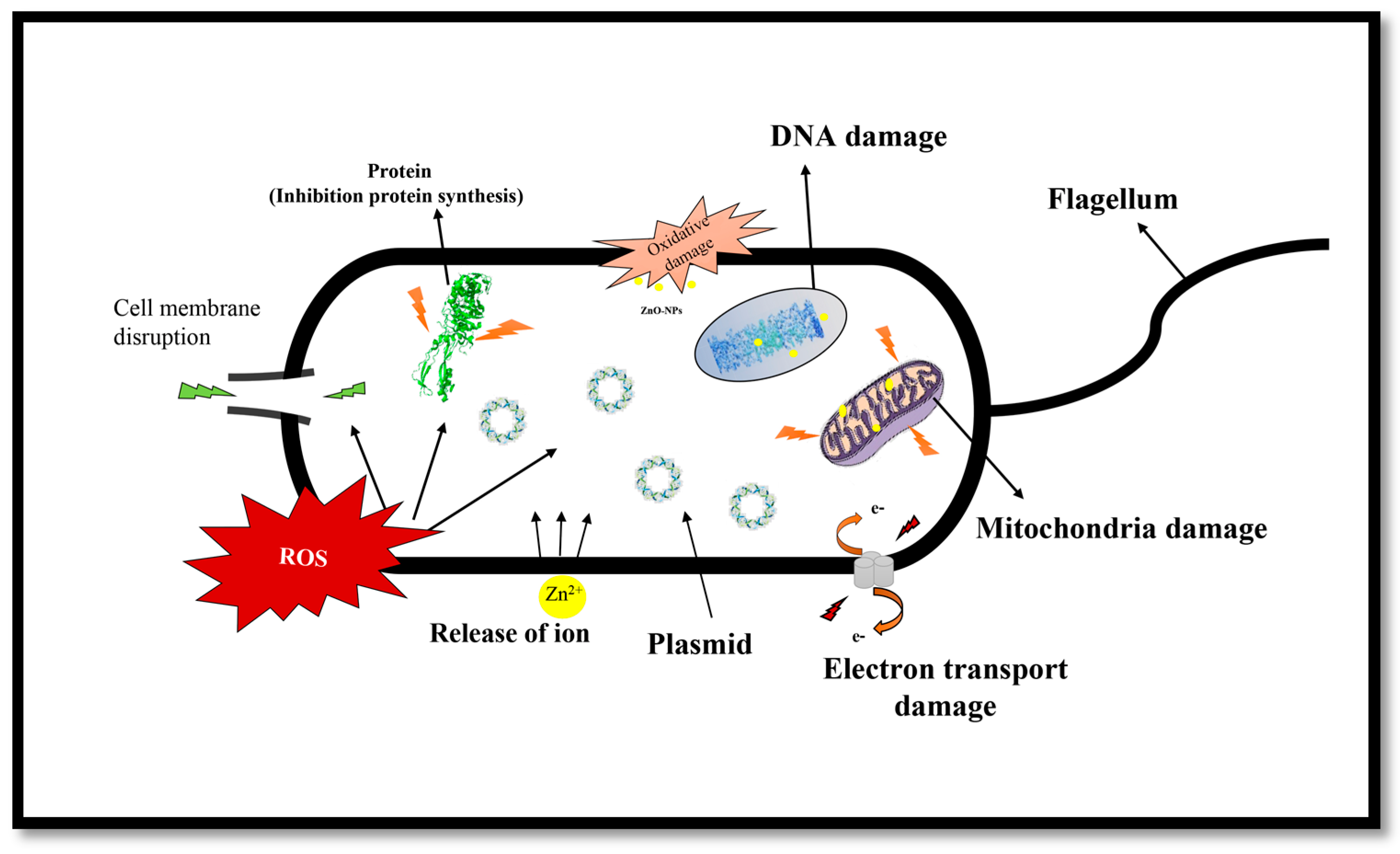 Molecules 22 00872 sch001 550