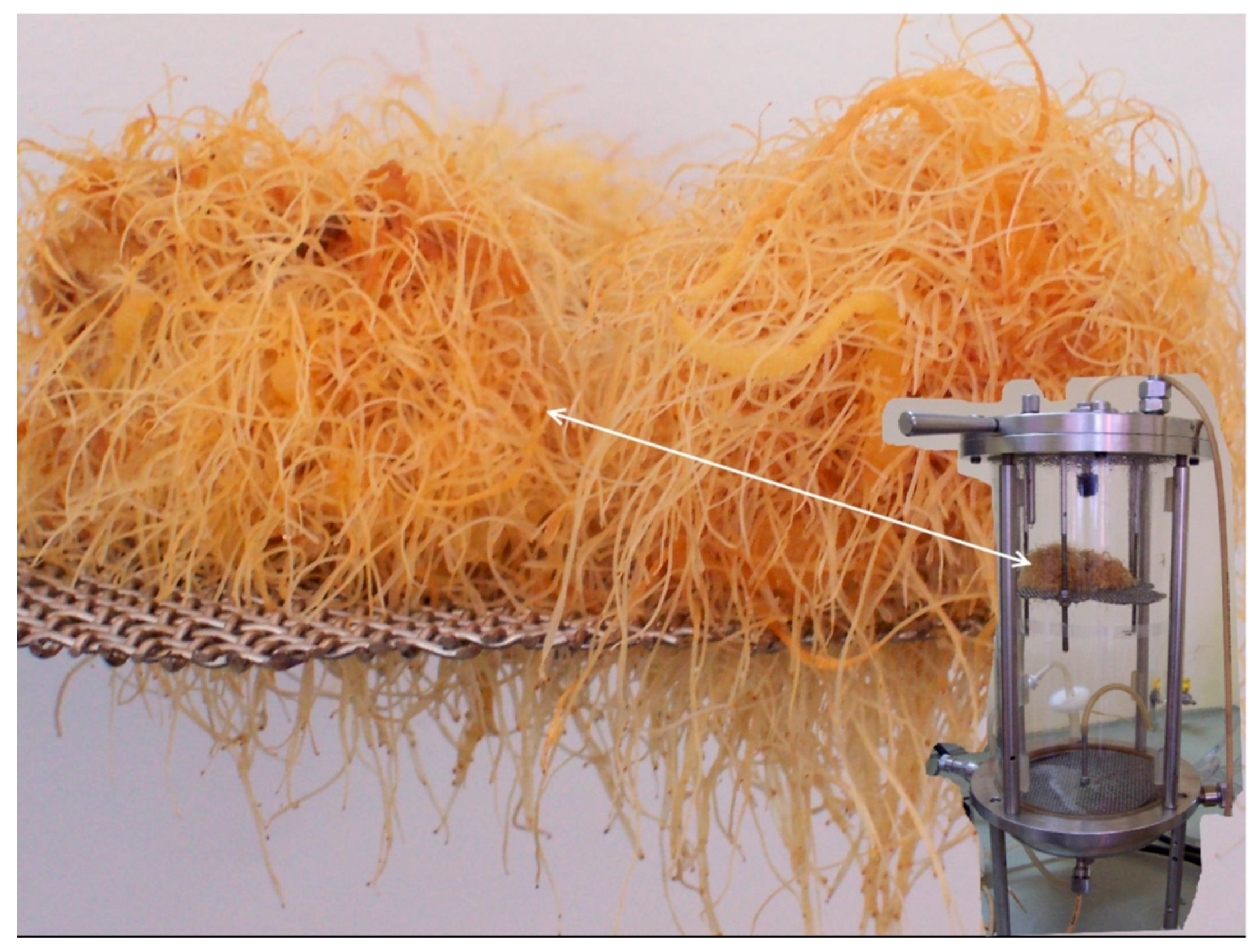 Molecules 22 00880 g003 550