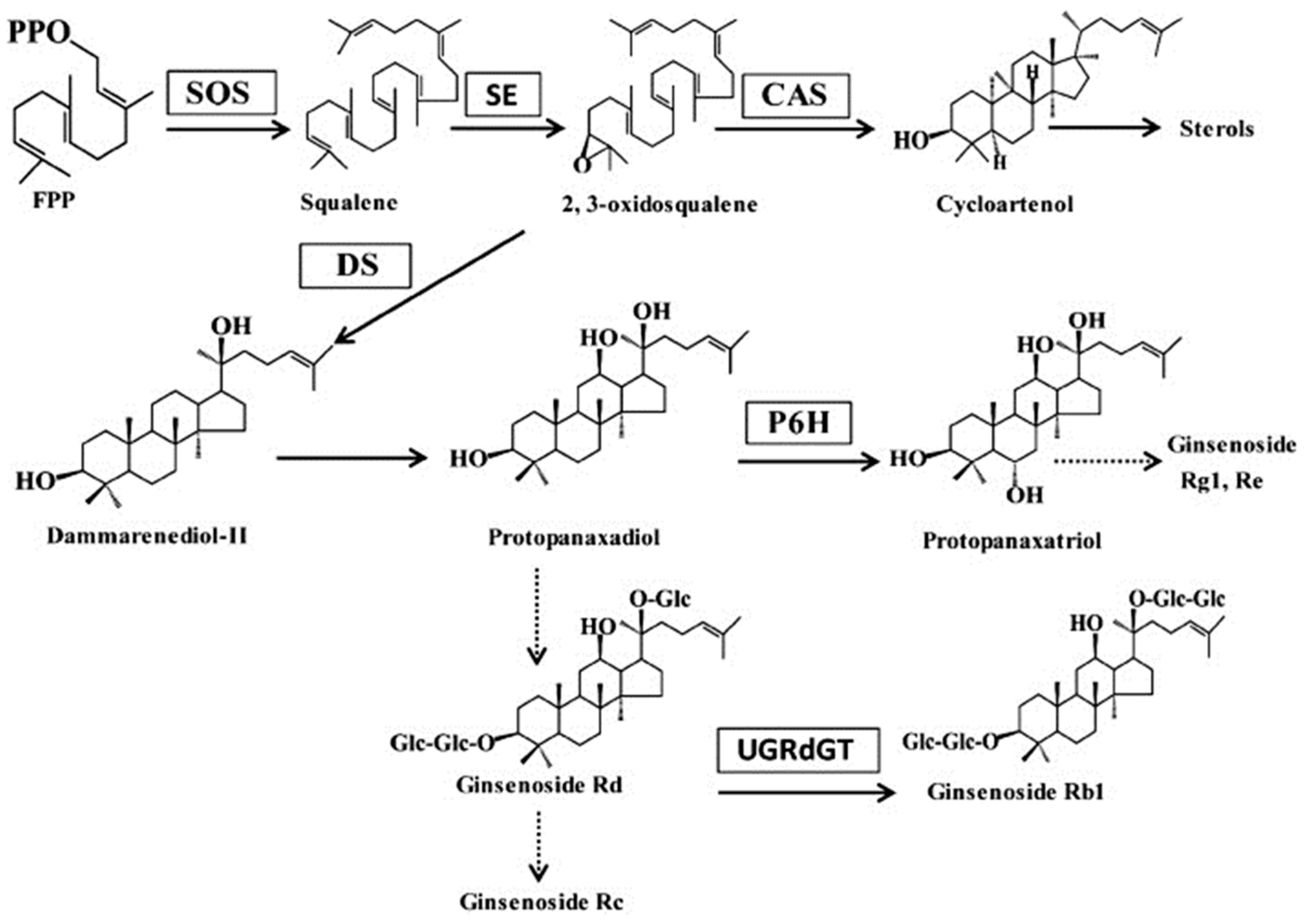 Molecules 22 00880 sch001 550