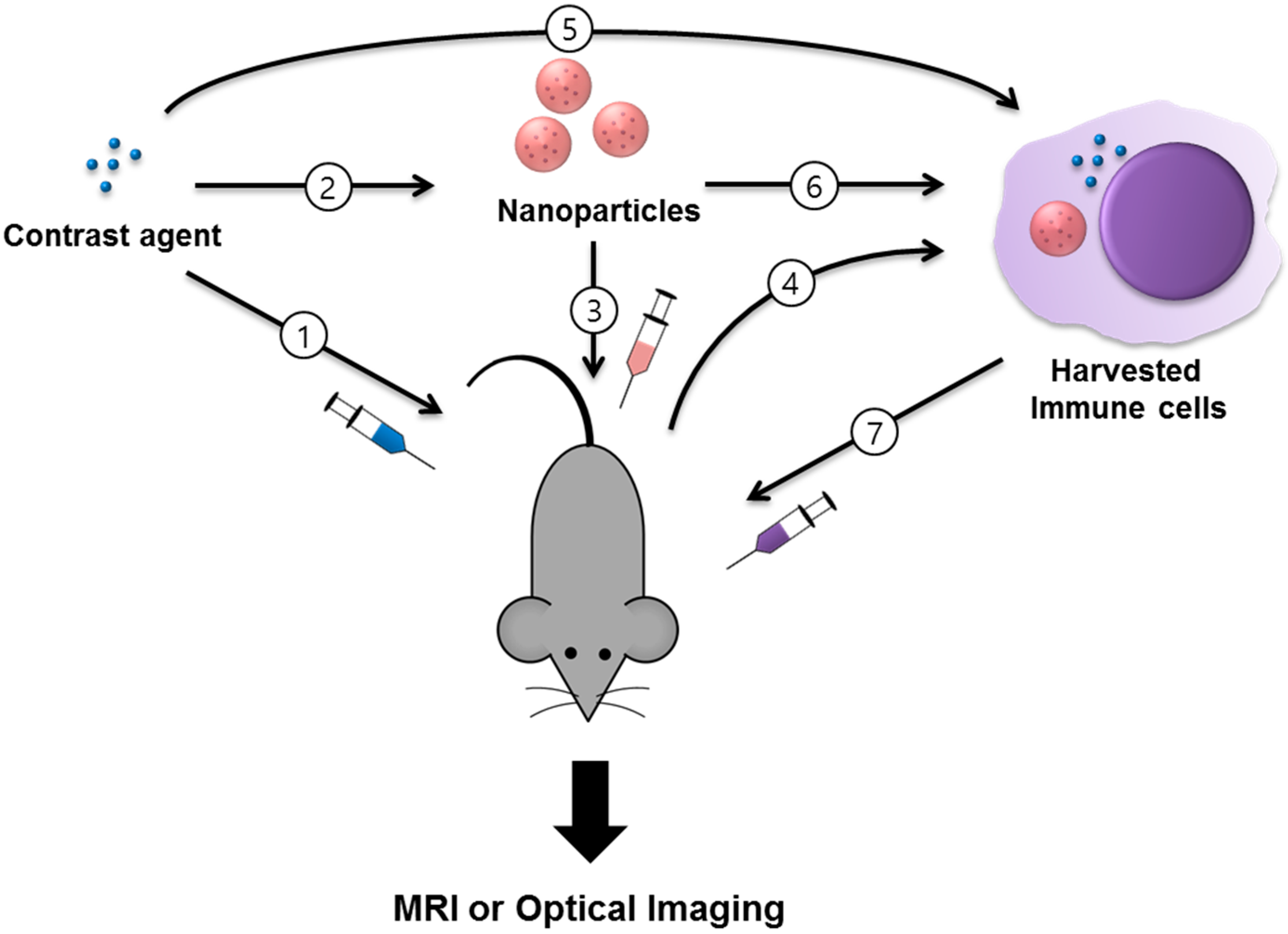 Molecules 22 00881 g001