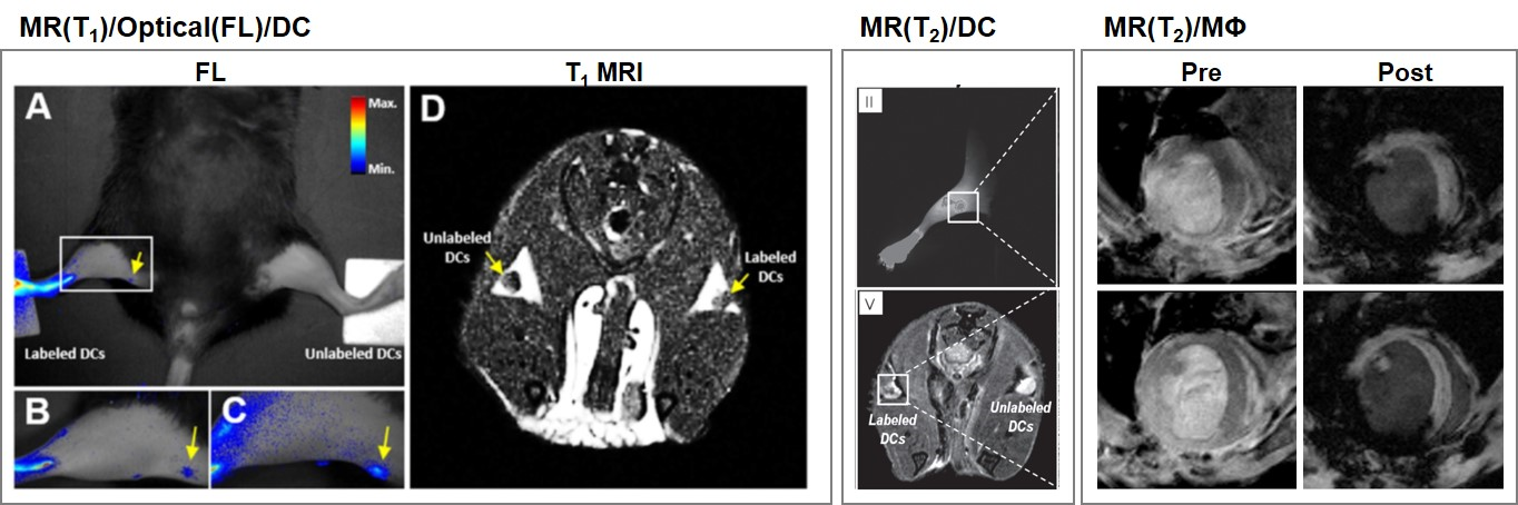 Molecules 22 00881 g002
