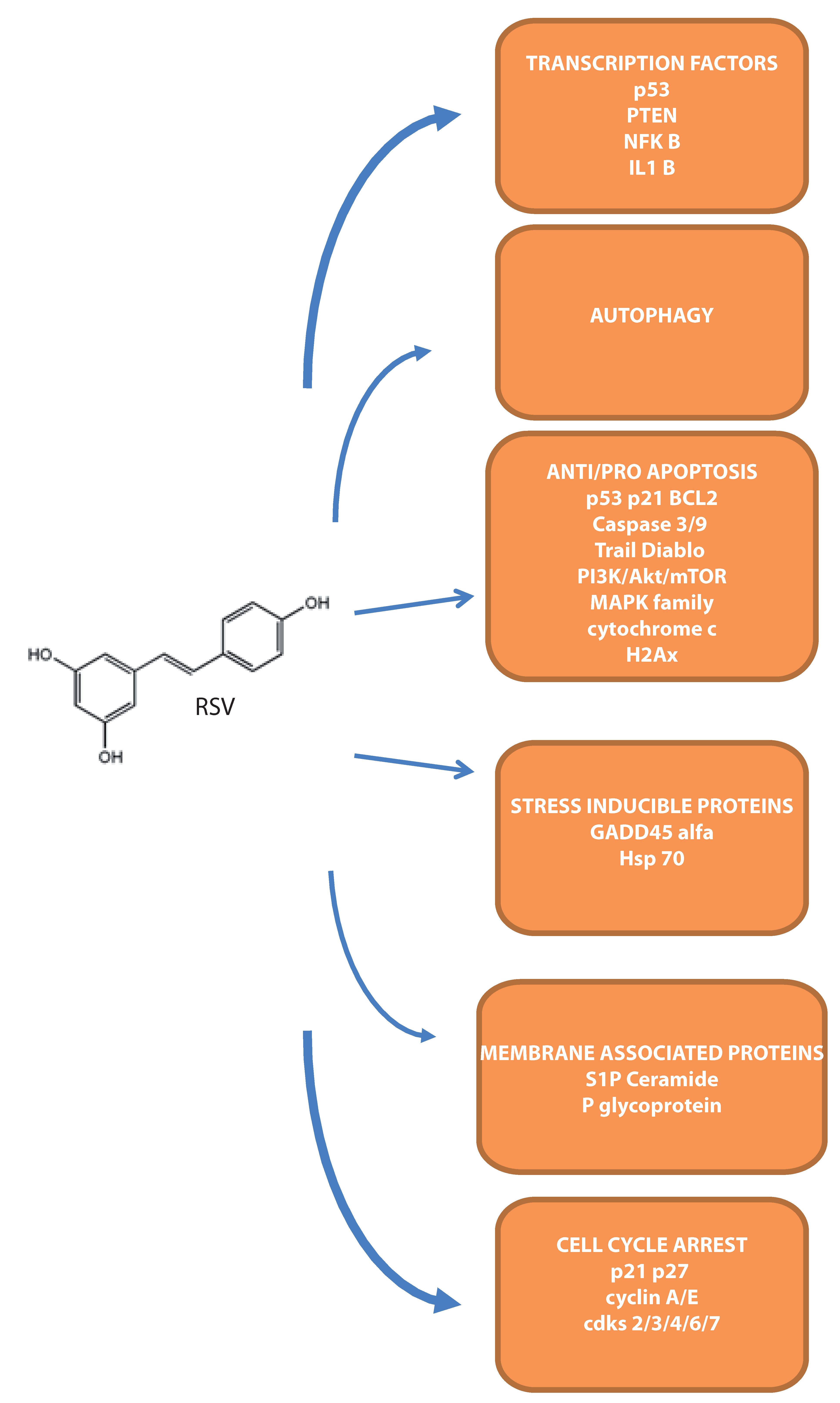 Molecules 22 00885 g002