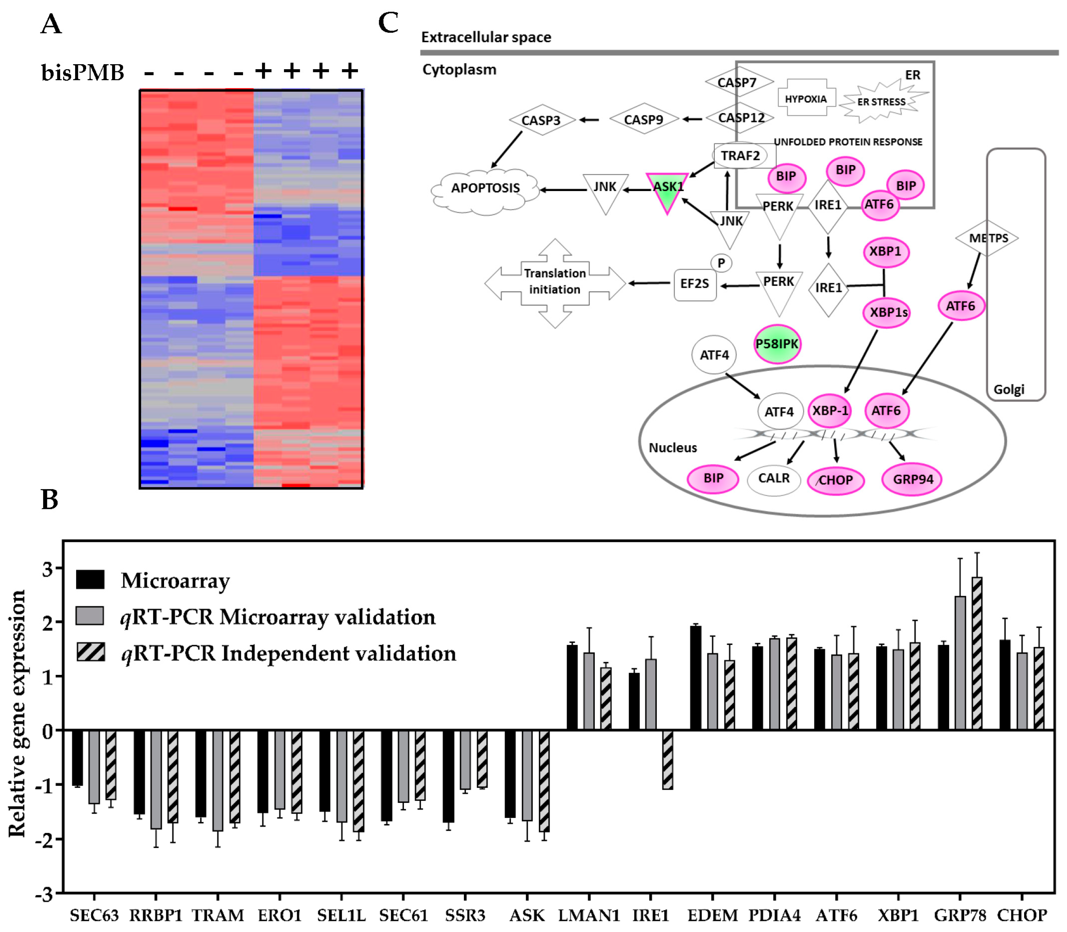 Molecules 22 00892 g002 Molecules 22 00892 g002