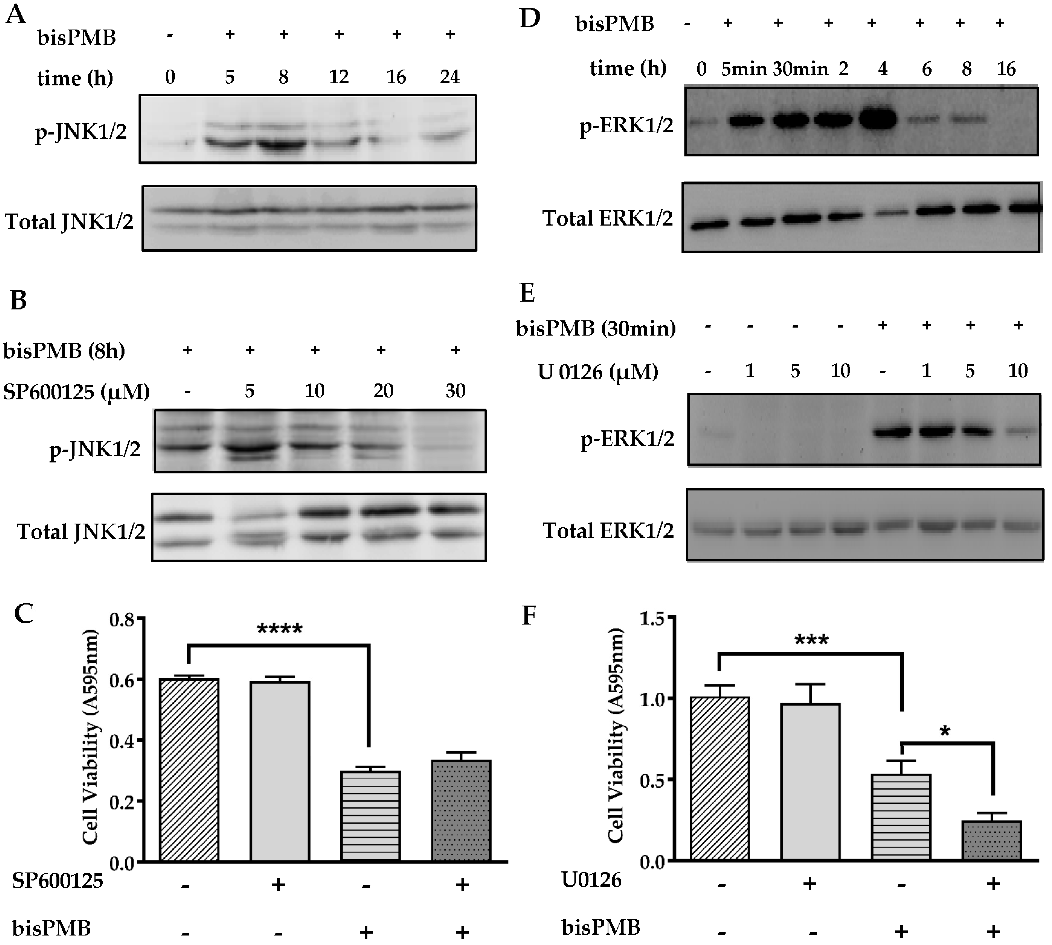 Molecules 22 00892 g005 Molecules 22 00892 g005